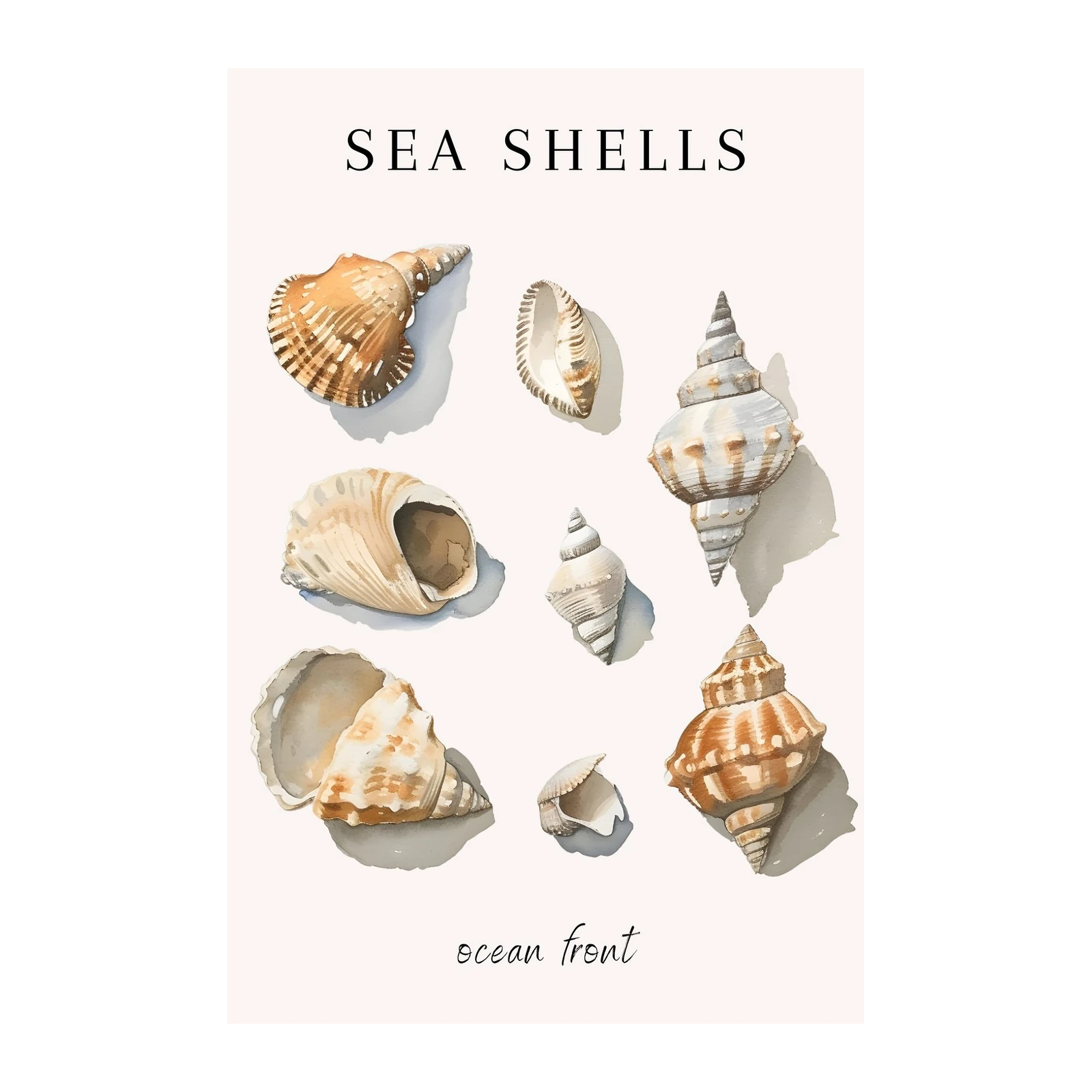 Coastal Seashell Collection Watercolor Wall Art