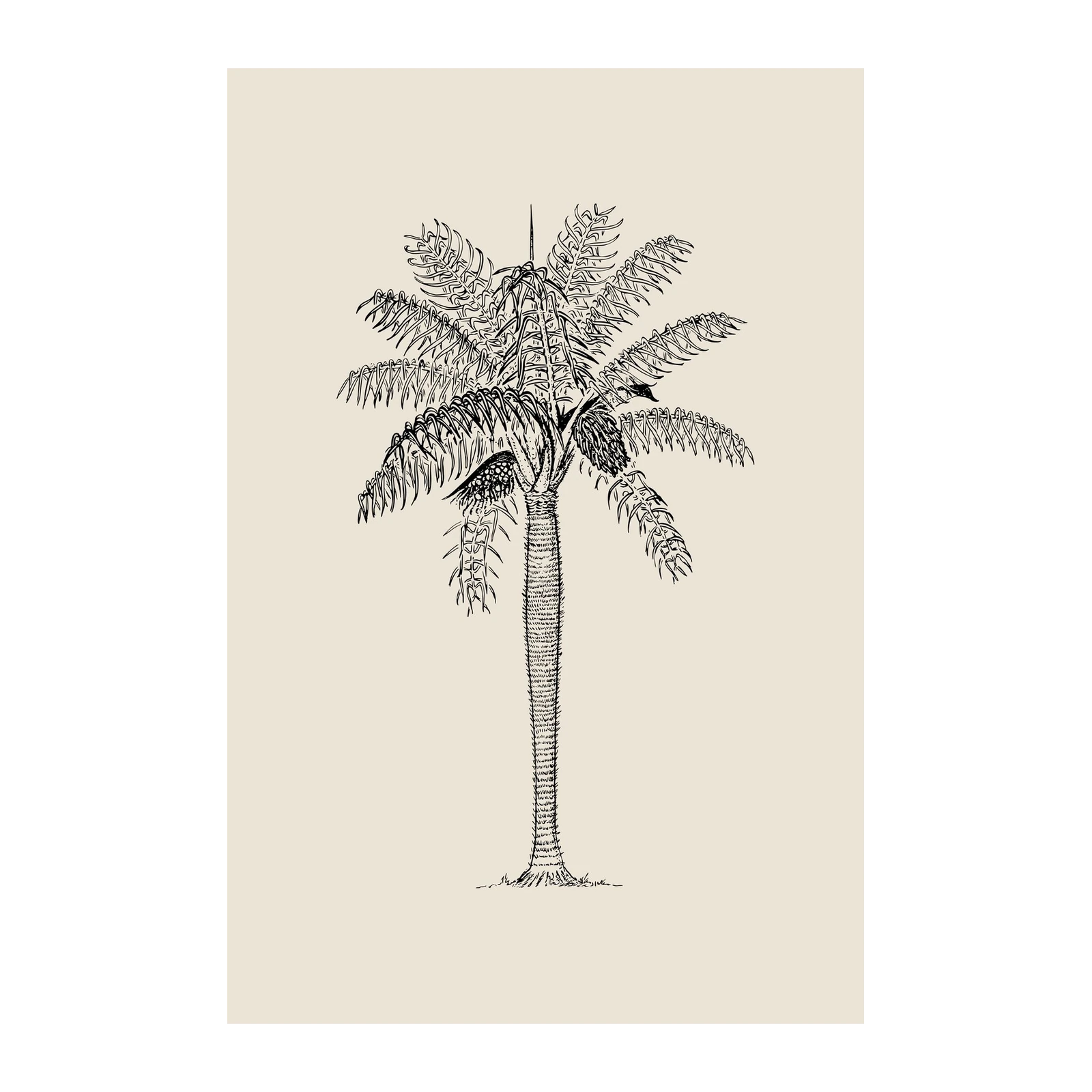 Elegant Palm Tree Sketch Wall Art