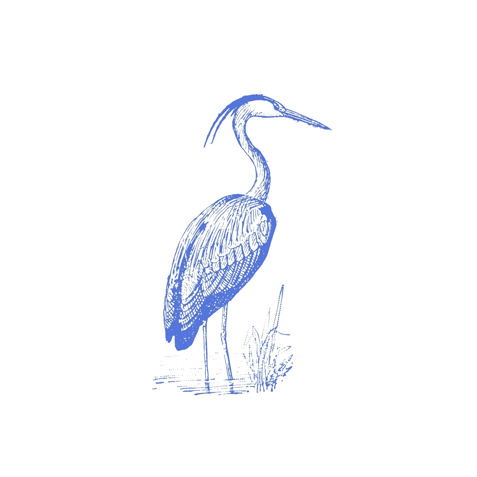 Blue Heron Sketch Vintage Bird Wall Art