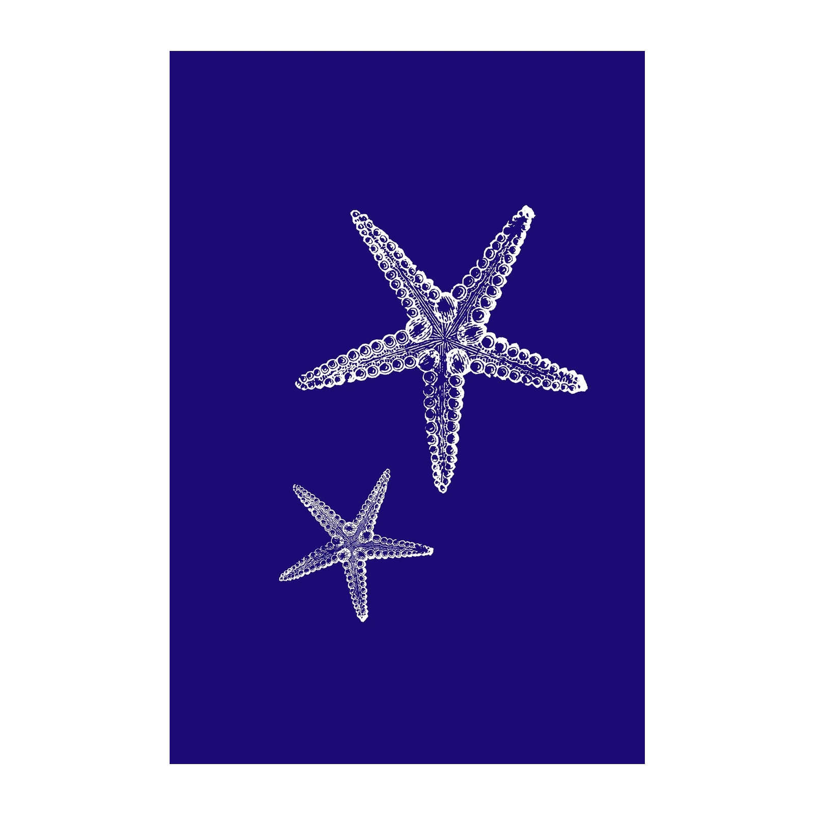 Oceanic Starfish Duo White on Blue Wall Art