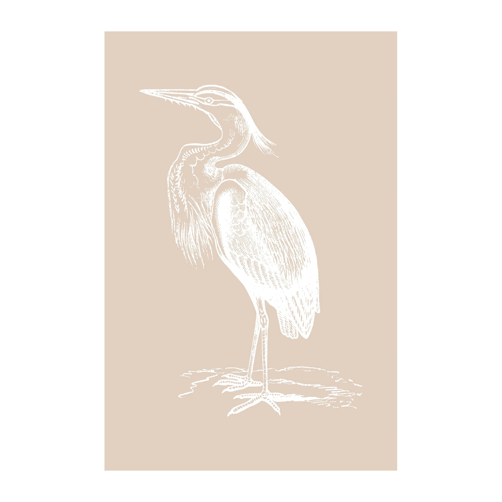 Elegant Heron Vintage Sketch Wall Art