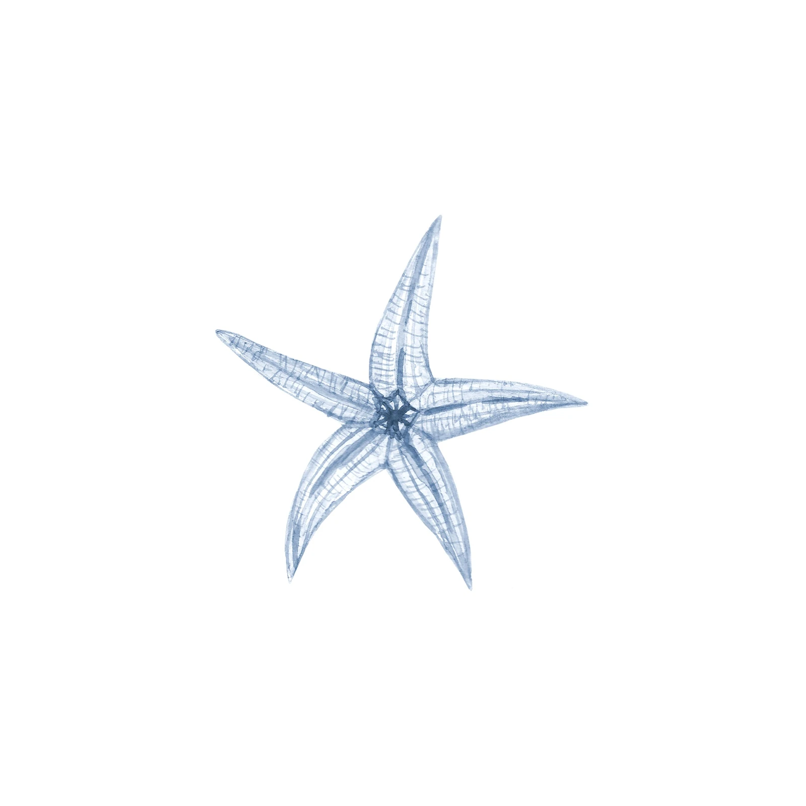 Serene Blue Starfish Watercolor Wall Art
