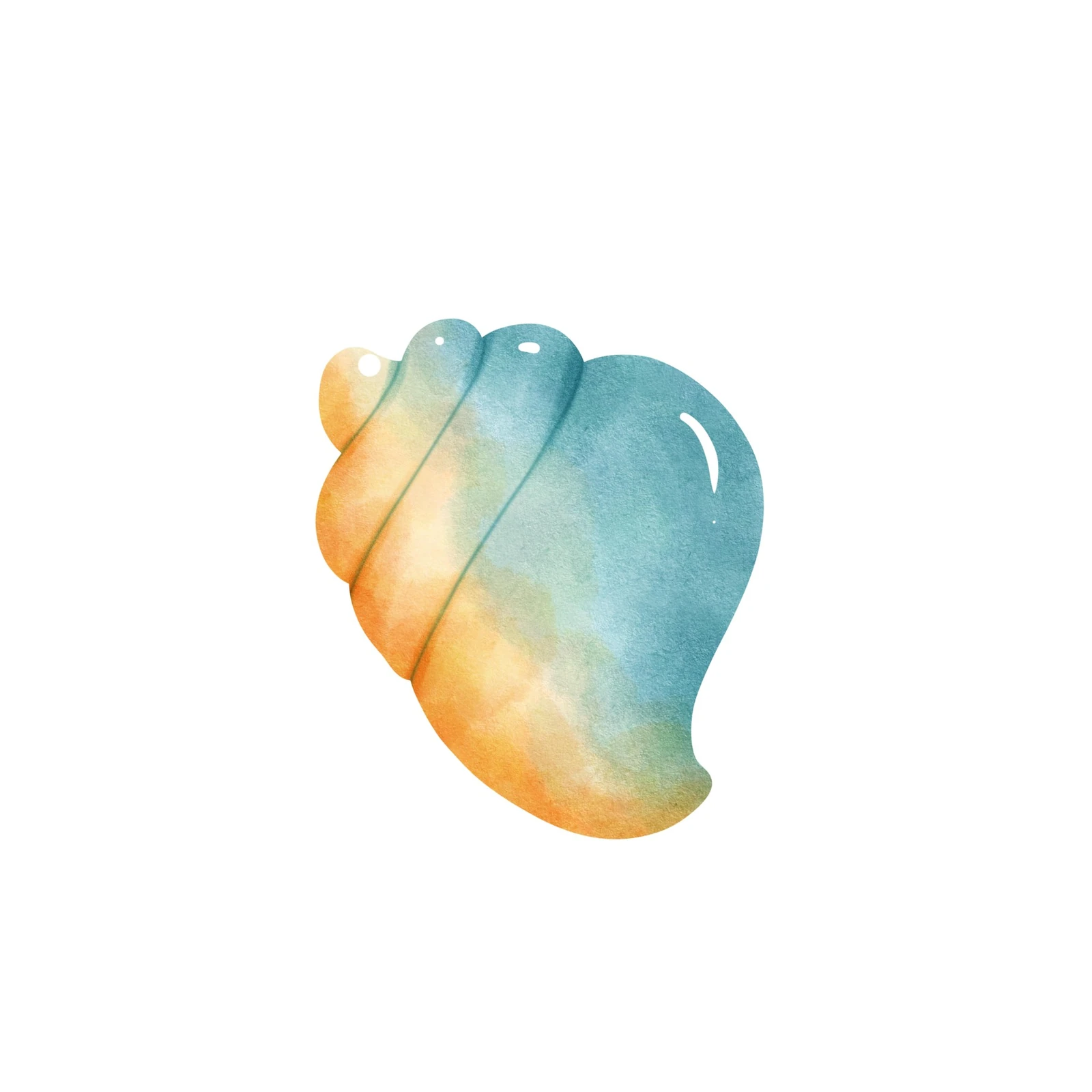 Coastal Seashell Watercolor Beach Art Wall Art