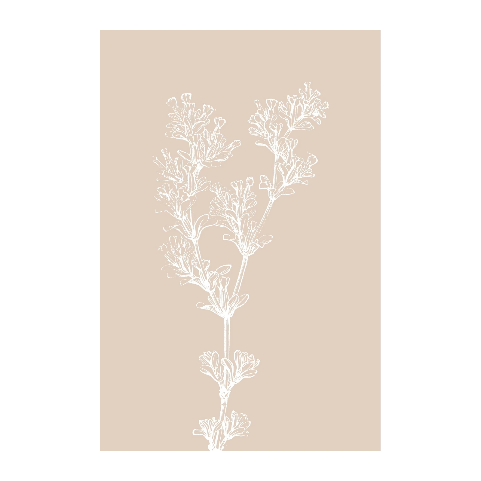 Minimalist Lavender Botanical Line Art Wall Art