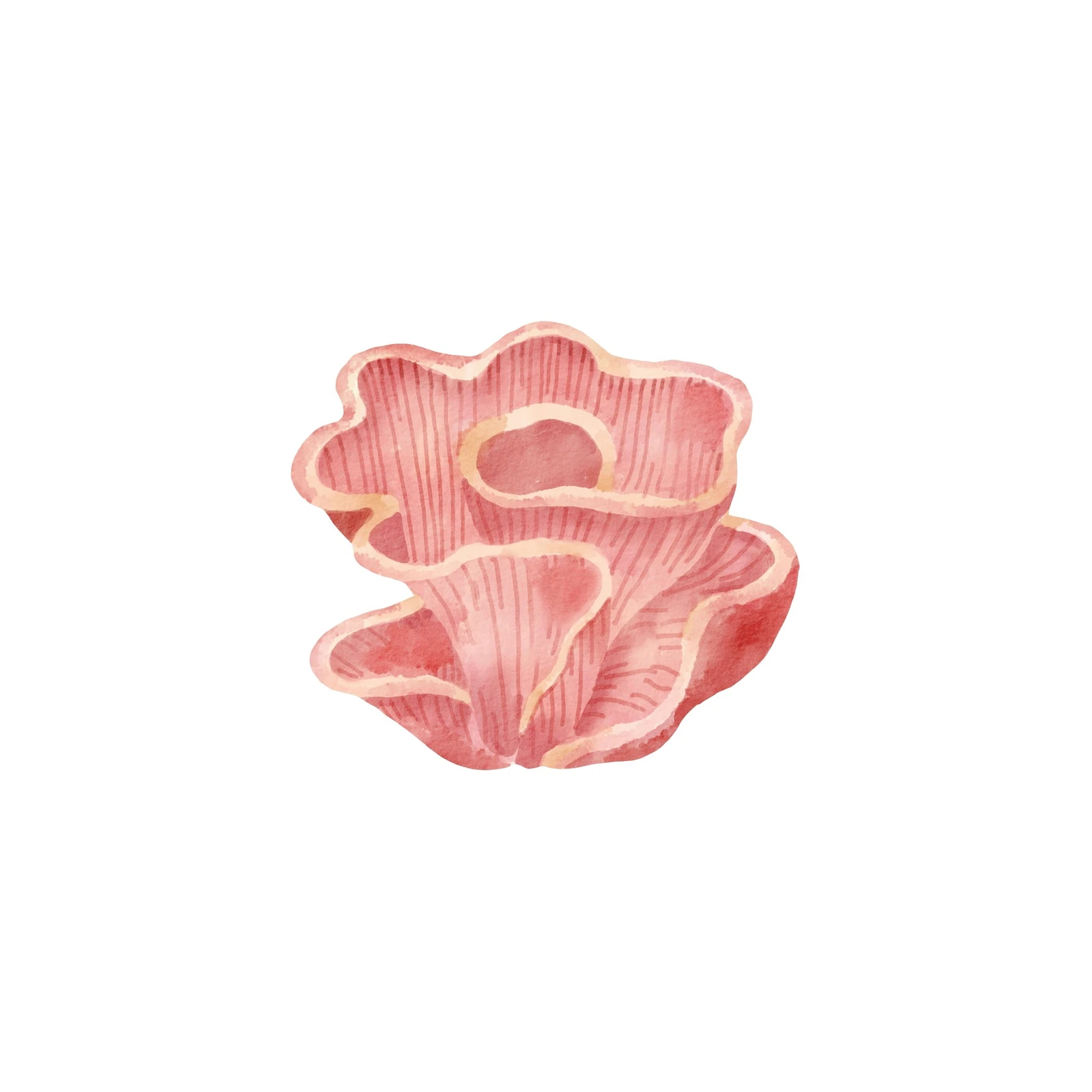 Pink Coral Watercolor Coastal Wall Art