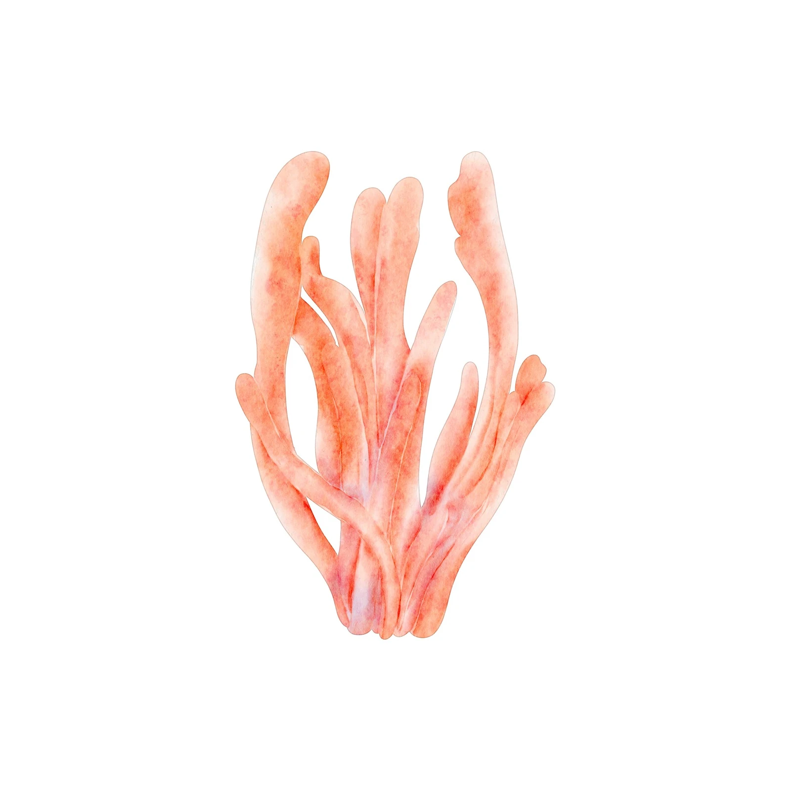 Coral Dreams Watercolor Coastal Wall Art