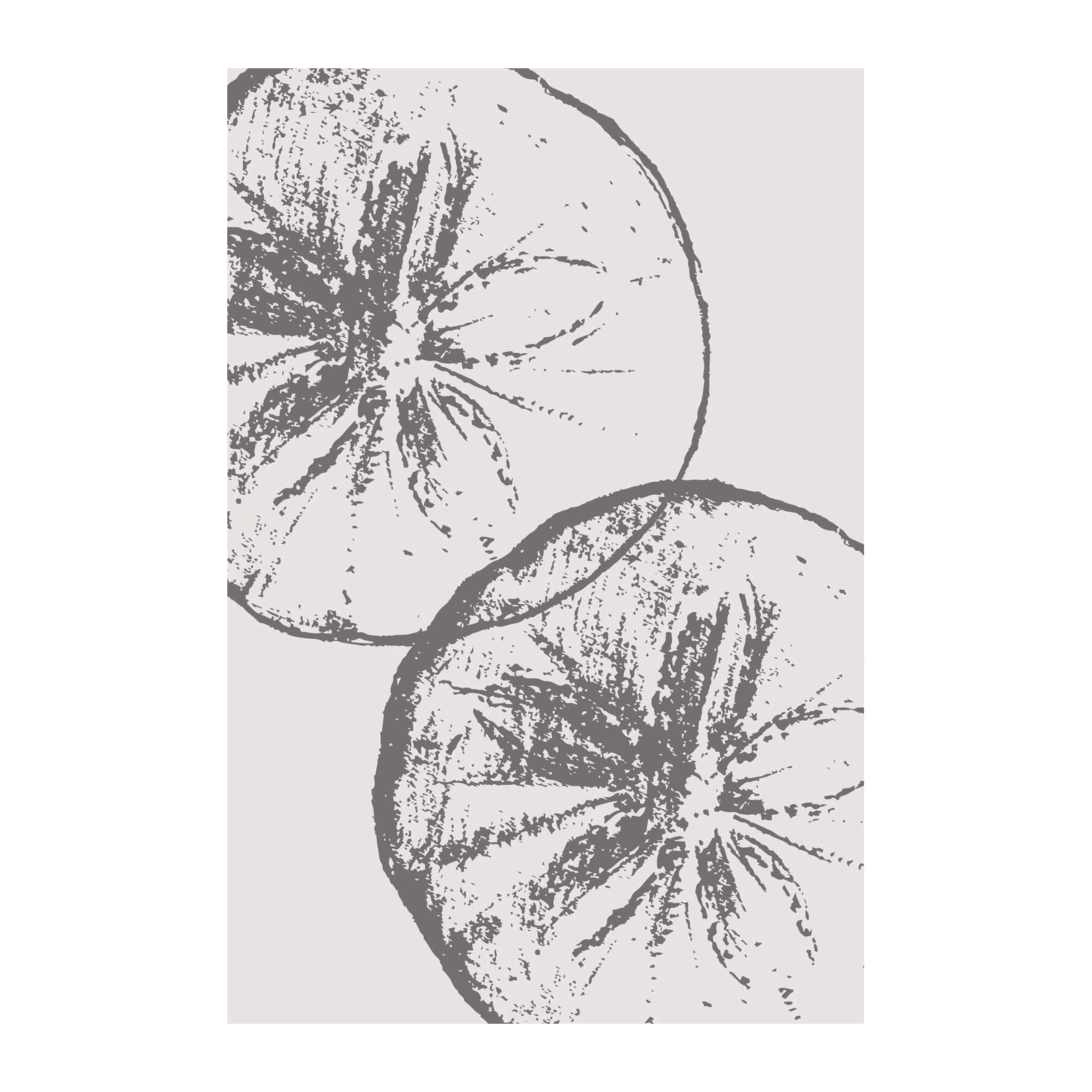 Monochromatic Citrus Slice Wall Art