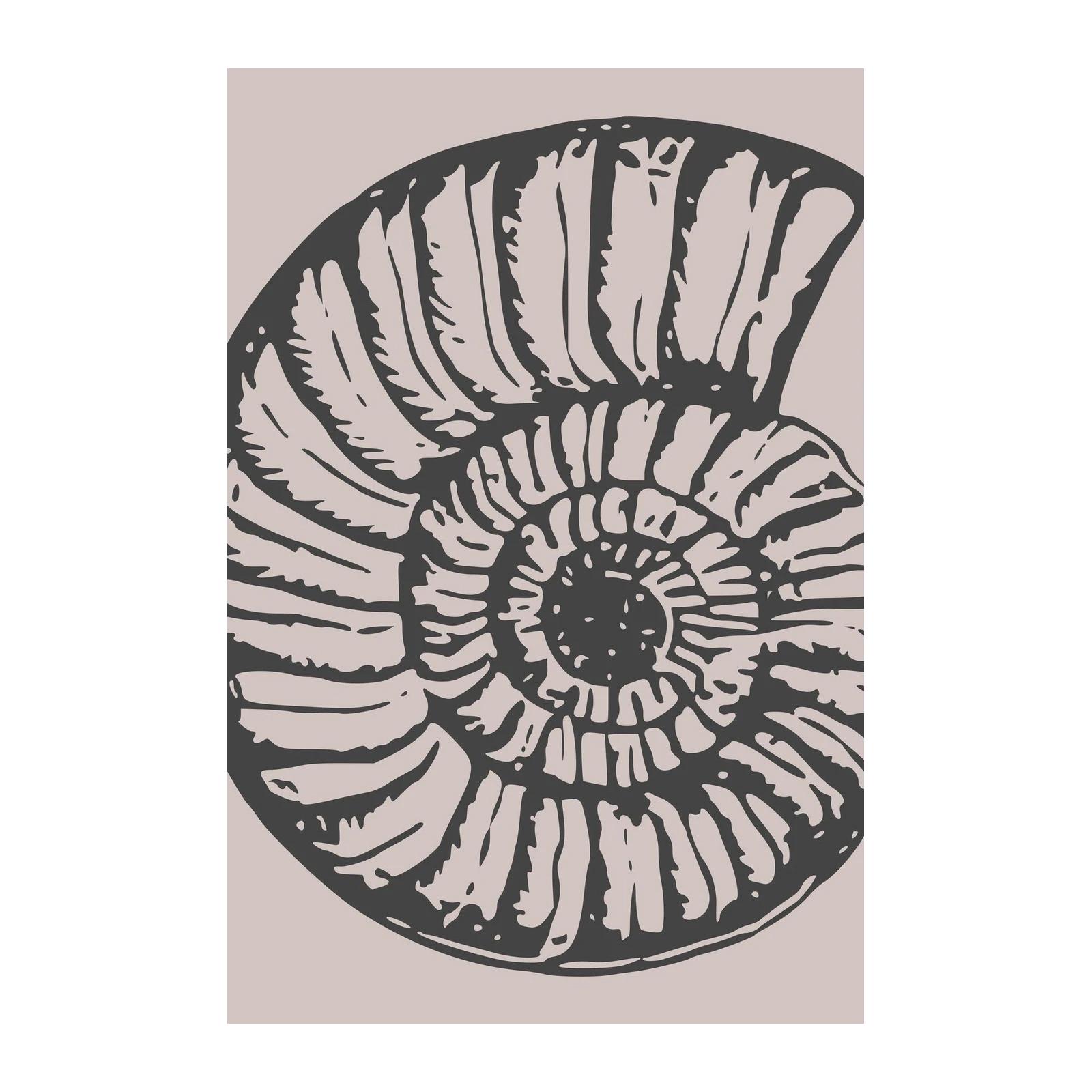 Elegant Ammonite Fossil Minimalist Wall Art