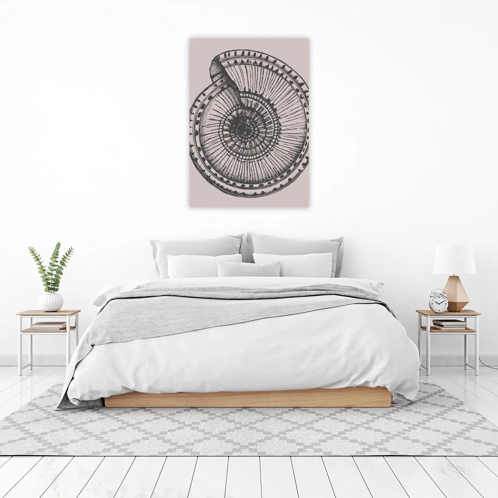 Vintage Ammonite Fossil Art Wall Art
