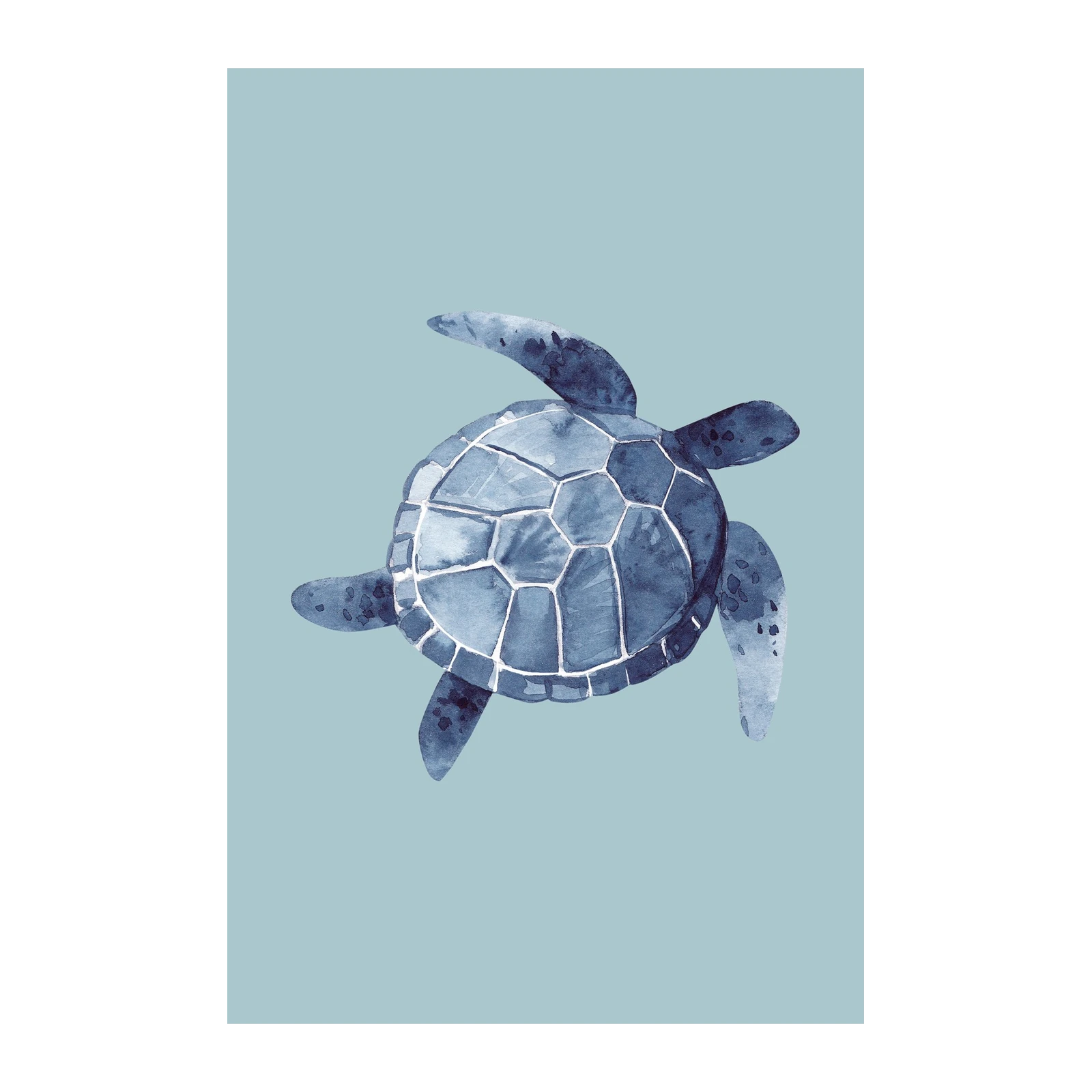 Serene Blue Turtle Watercolor Wall Art