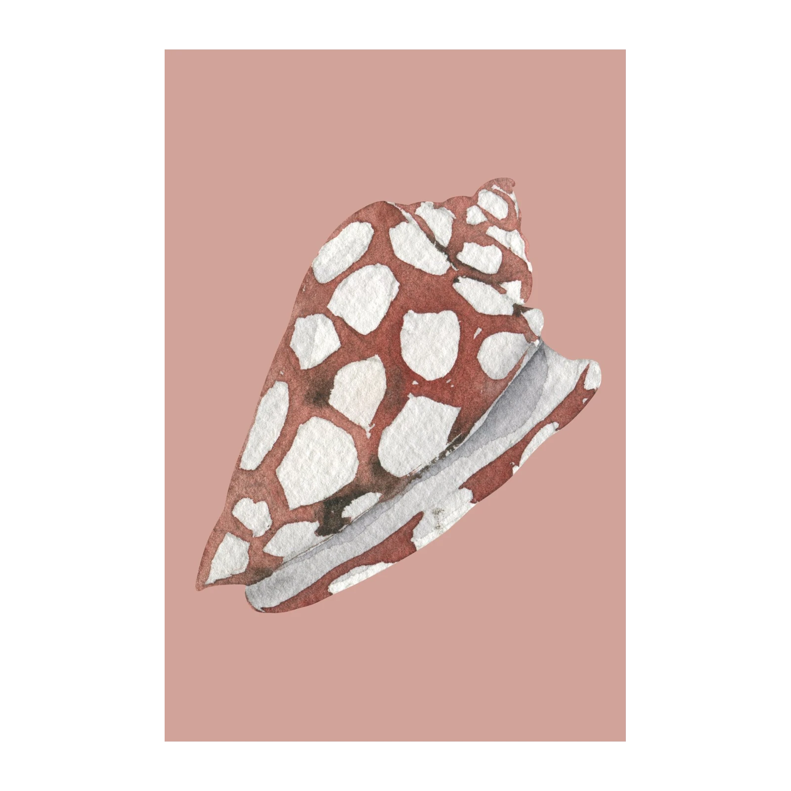 Nautical Elegance: Spotted Seashell Wall Art