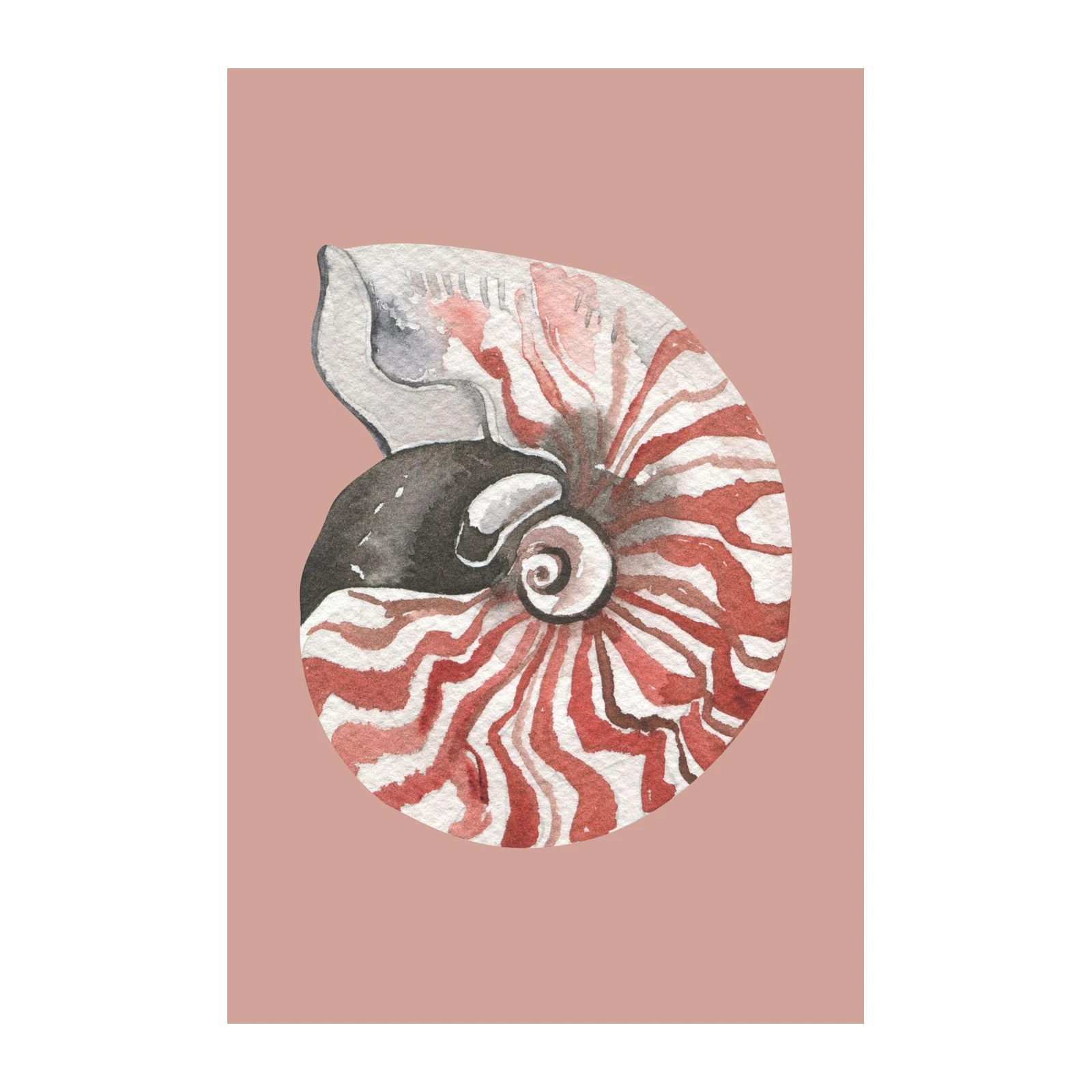 Nautilus Shell Watercolor Wall Art Wall Art