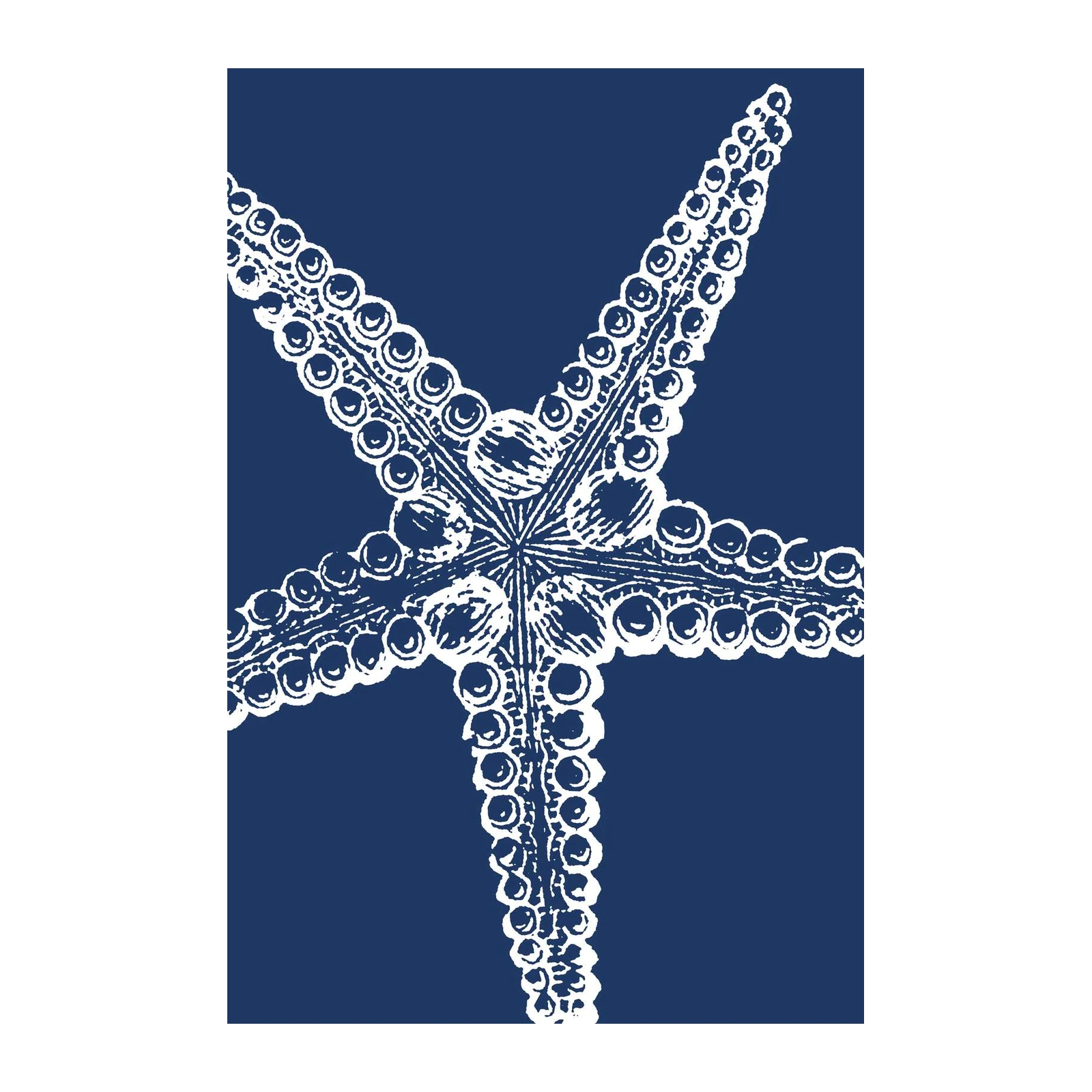 Elegant White Starfish Blue Wall Art