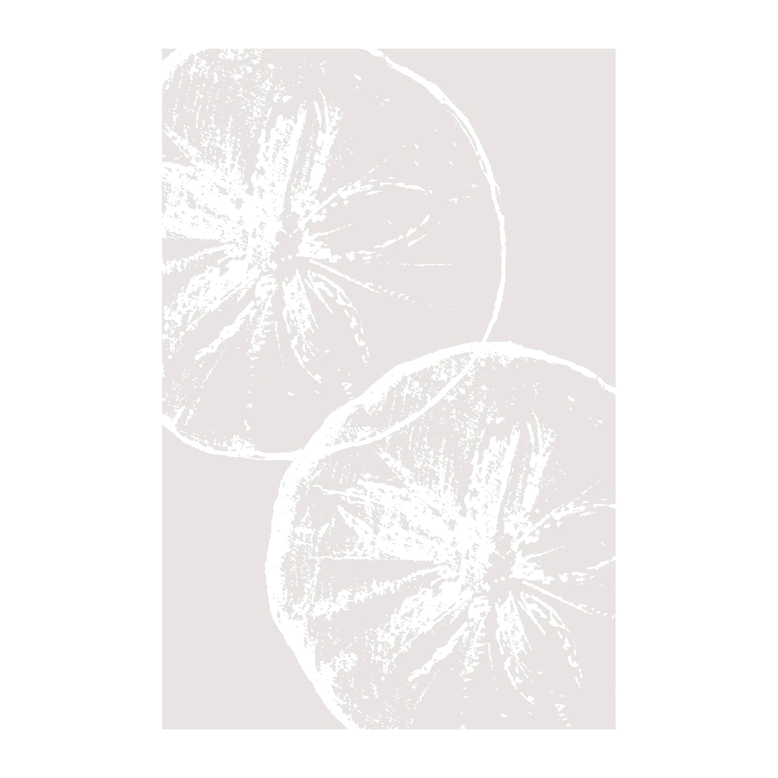 Minimalist Citrus Slices Wall Art