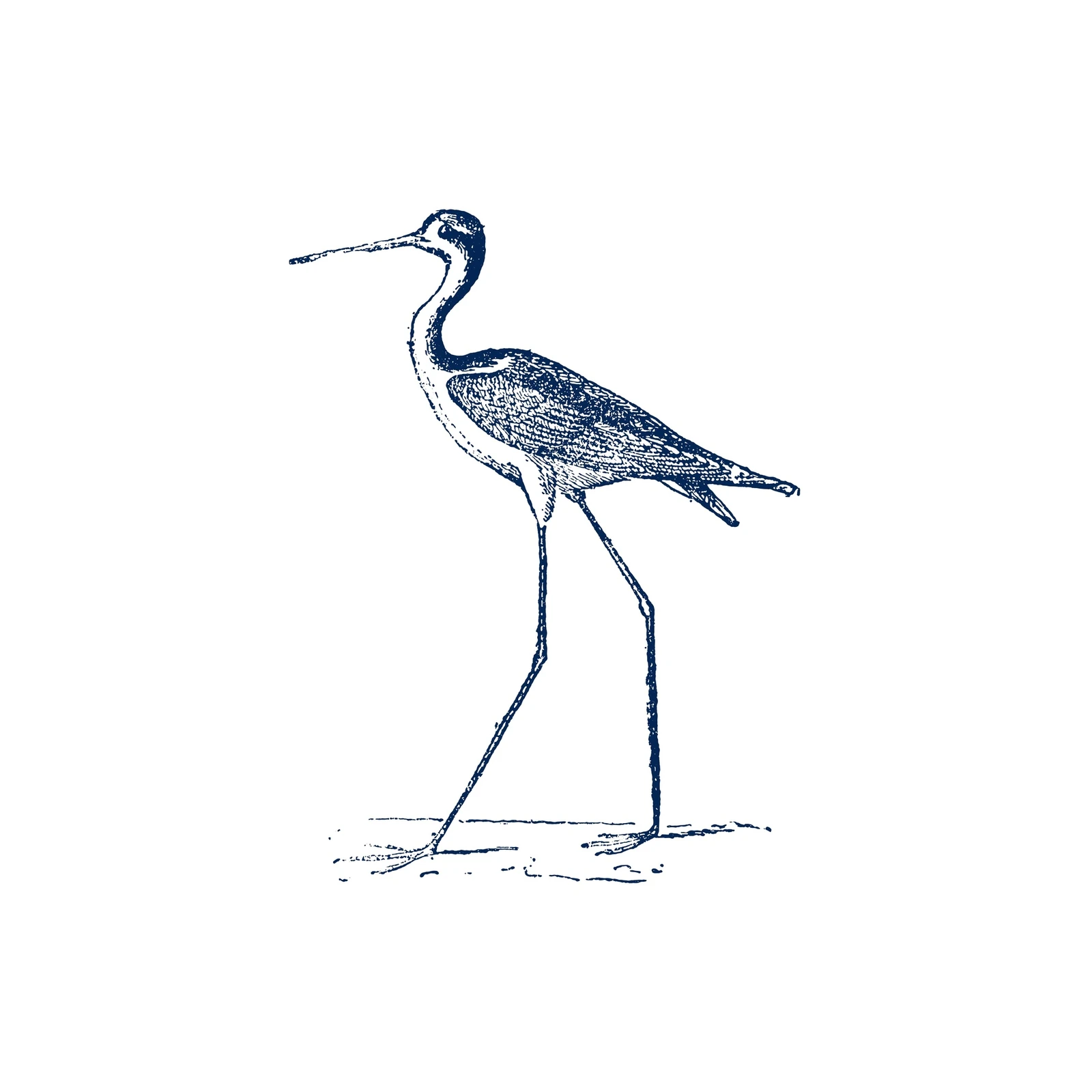Elegant Stilt Bird Blue Ink Art Wall Art