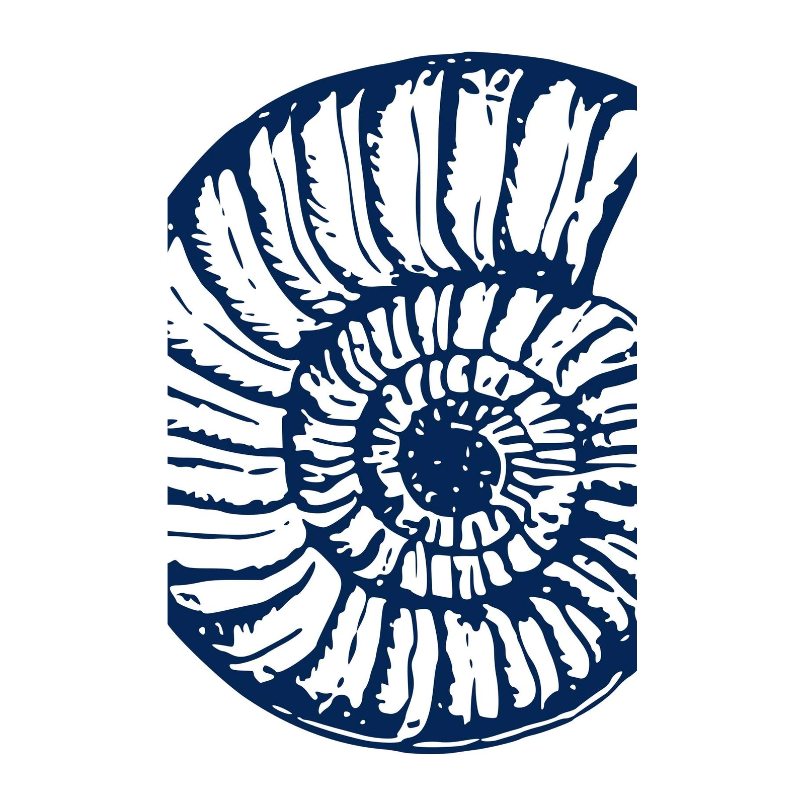 Nautical Ammonite Fossil Wall Art