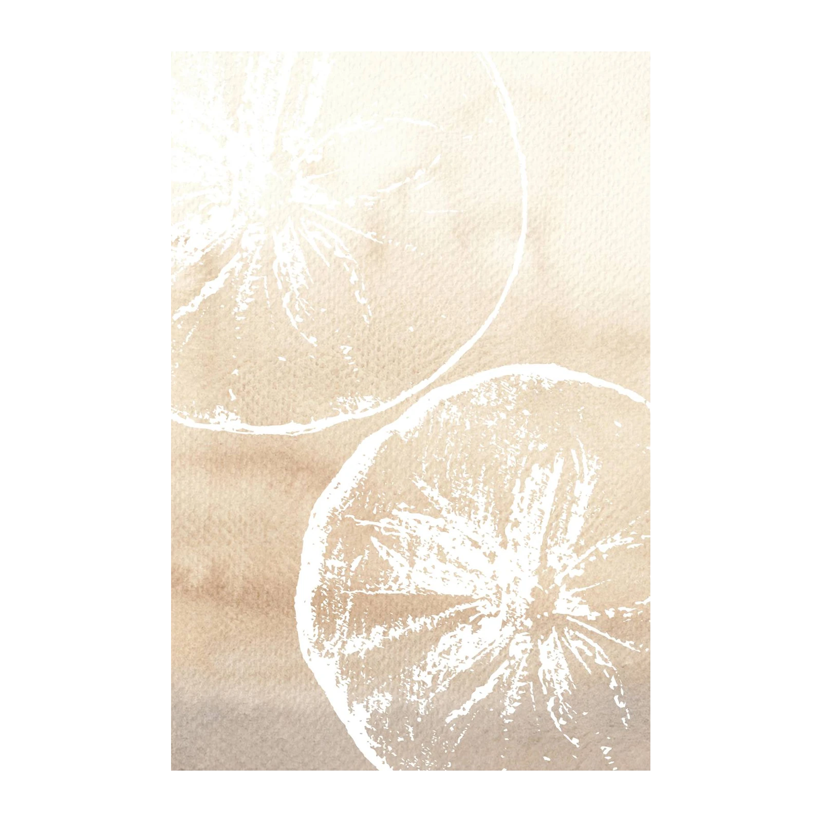 Neutral Citrus Slice Wall Art Wall Art