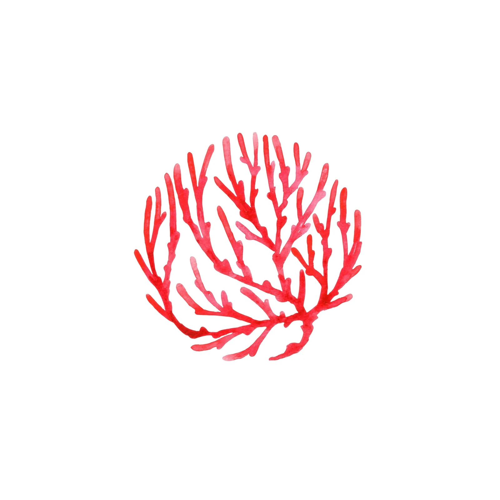 Vibrant Red Coral Watercolor Wall Art
