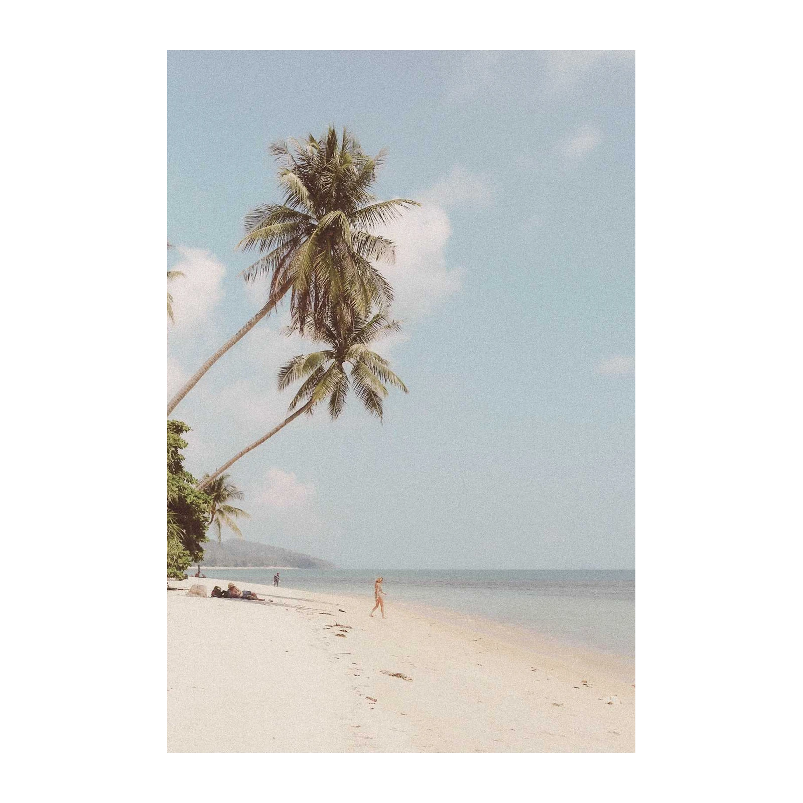 Serene Palm Paradise Beach Wall Art
