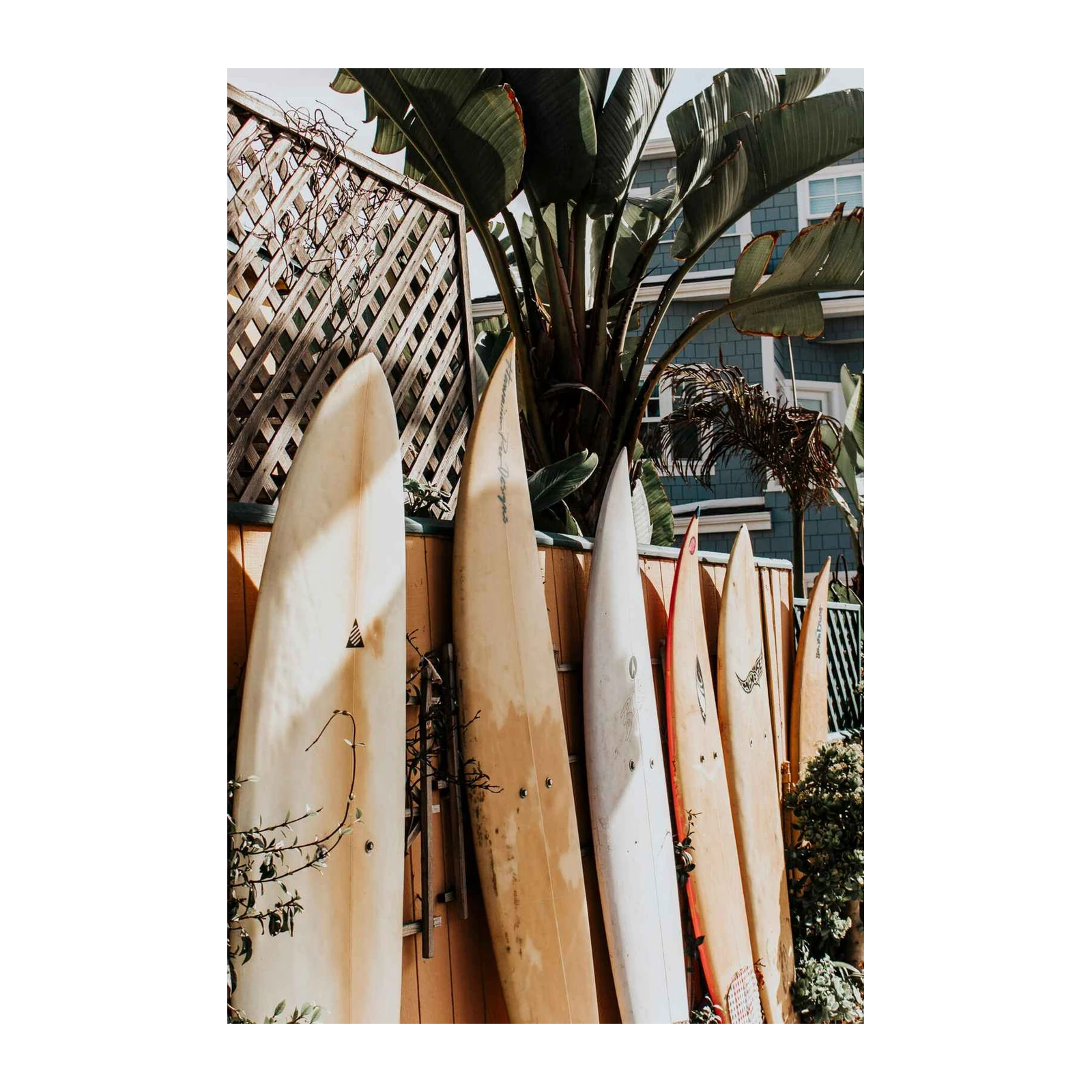 Vintage Surfboard Lineup Wall Art