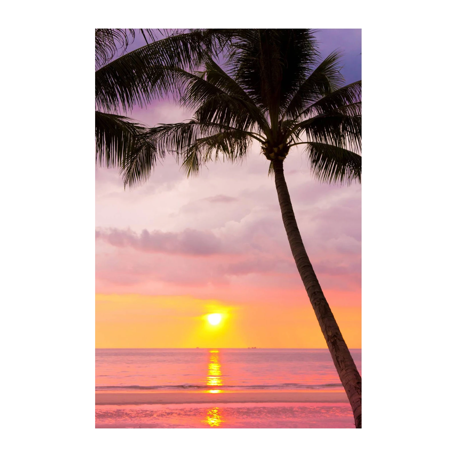Tropical Sunset Palm Tree Wall Art