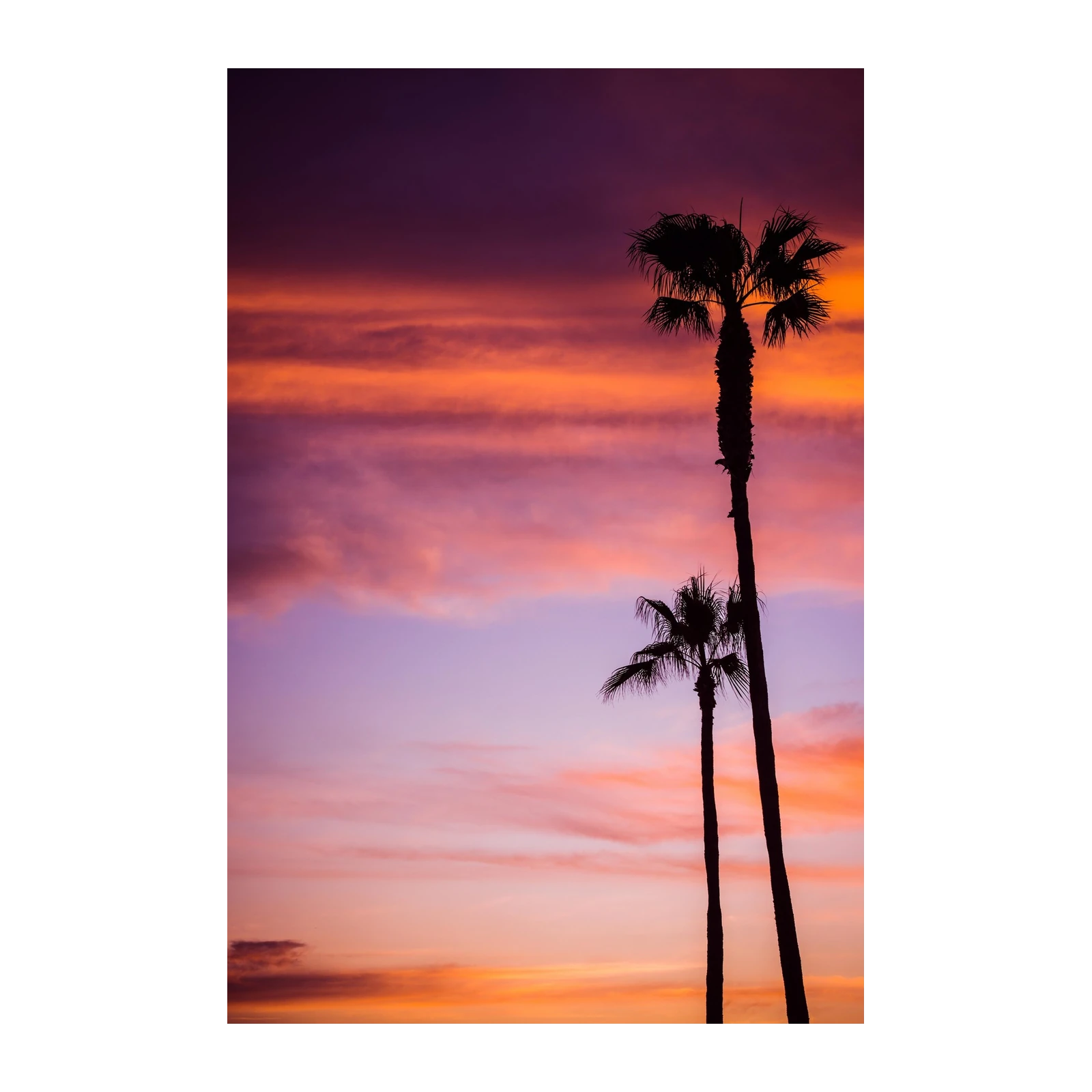 Tropical Sunset Palm Trees Wall Art