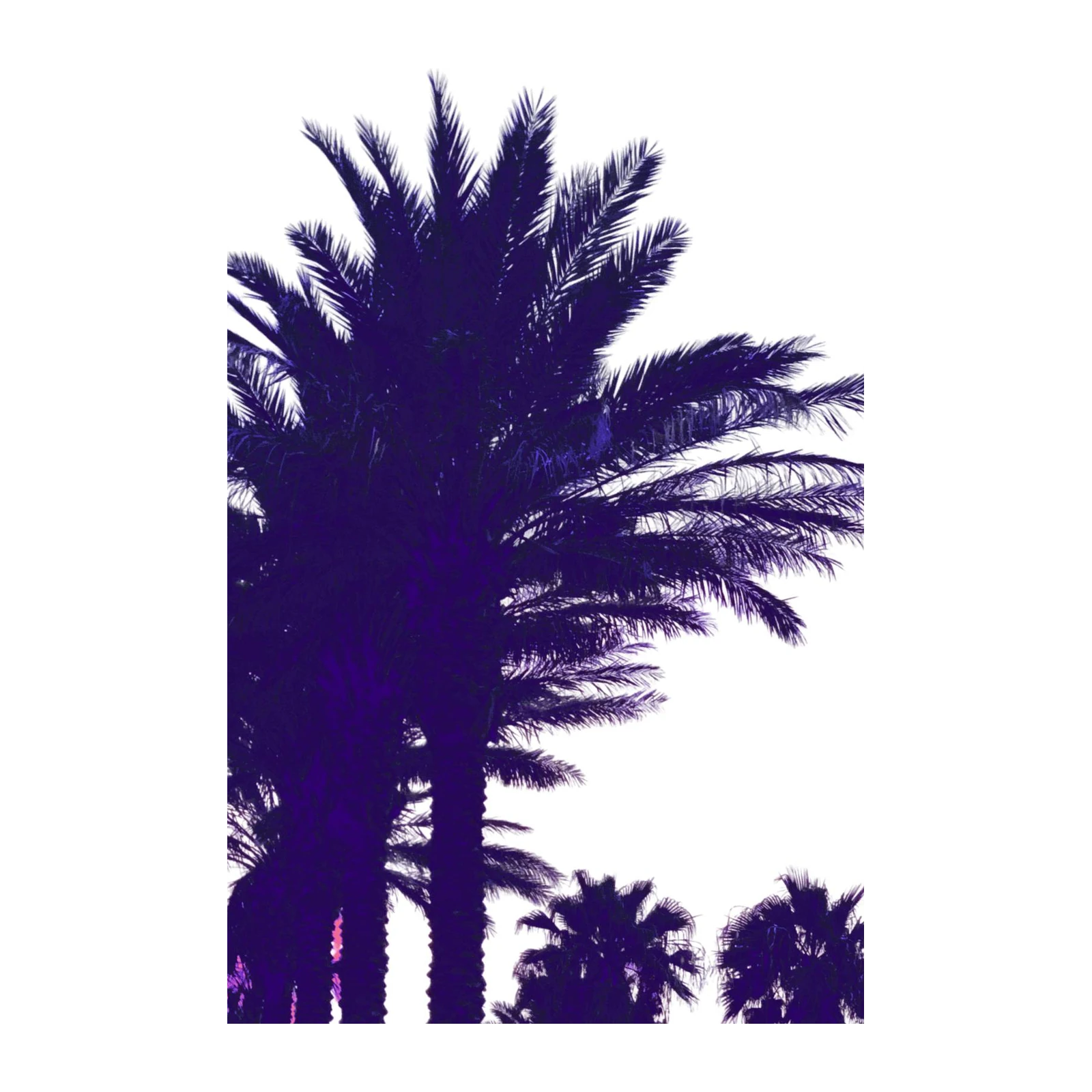 Vibrant Purple Palm Trees Wall Art
