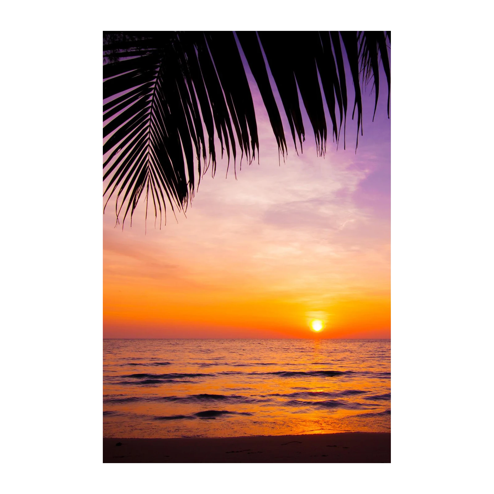 Tropical Sunset Palm Leaves Wall Art