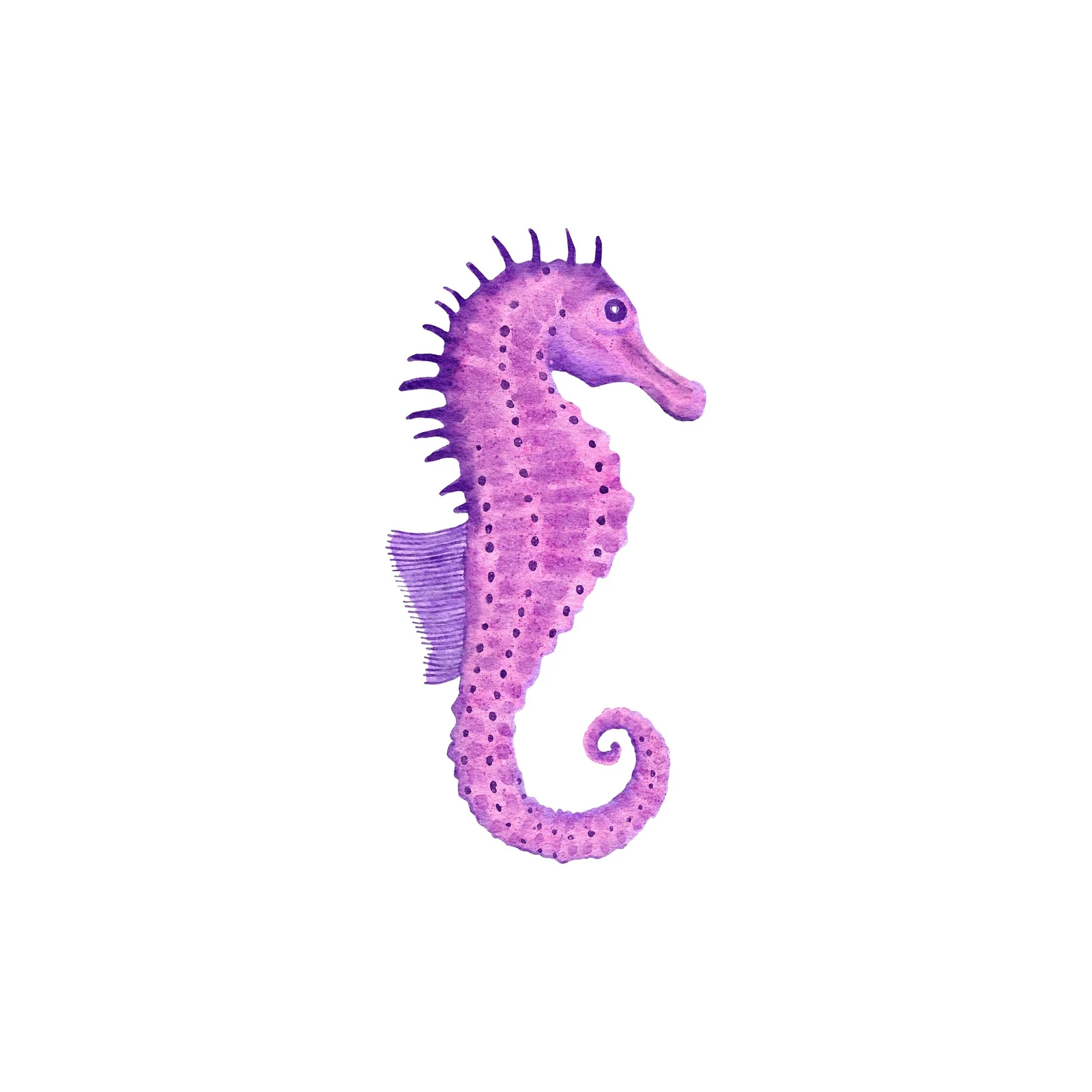 Purple Watercolor Seahorse Wall Art