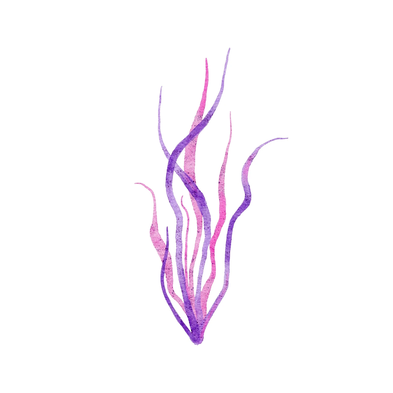 Whimsical Seaweed Watercolor Wall Art