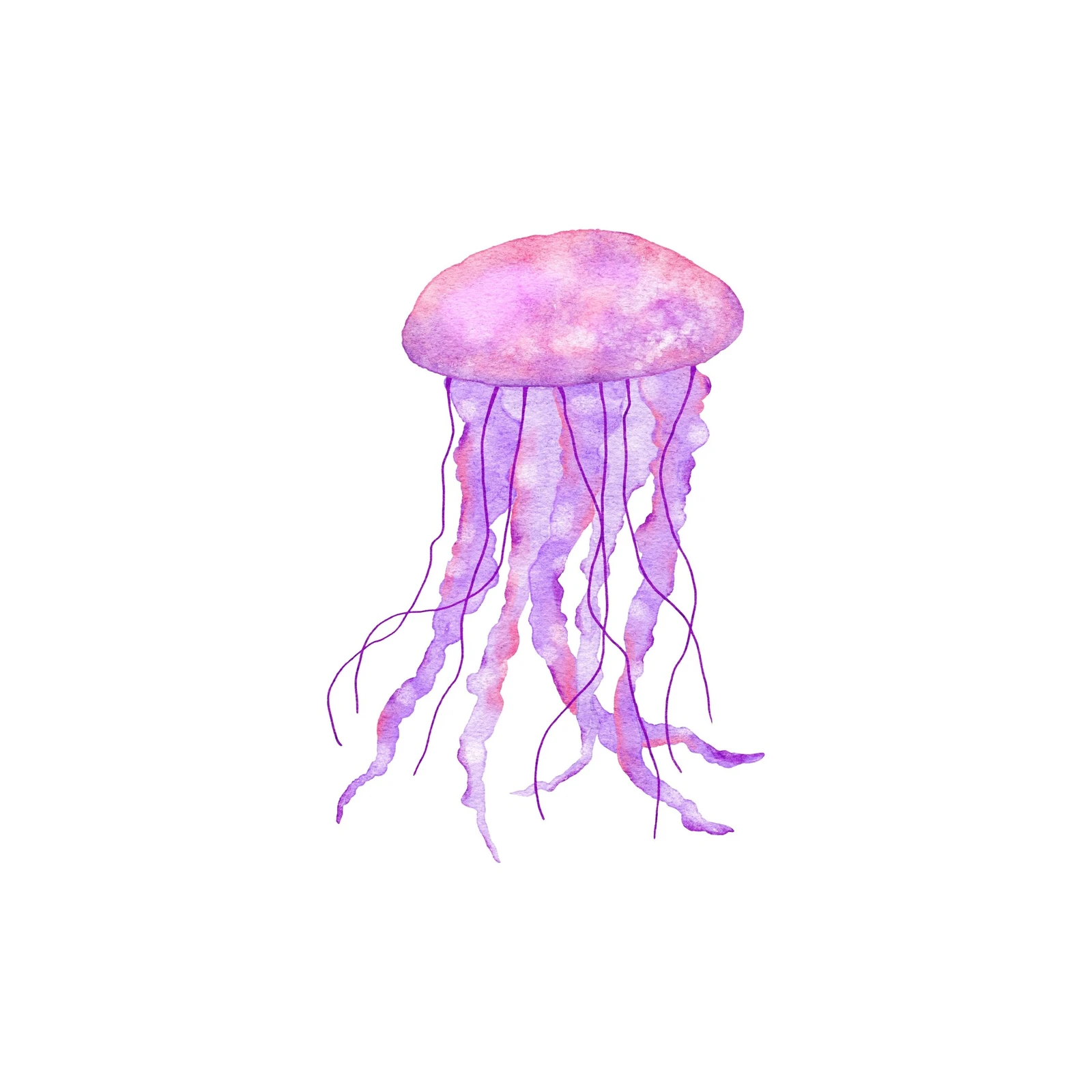 Watercolor Jellyfish Ocean Wall Art Wall Art