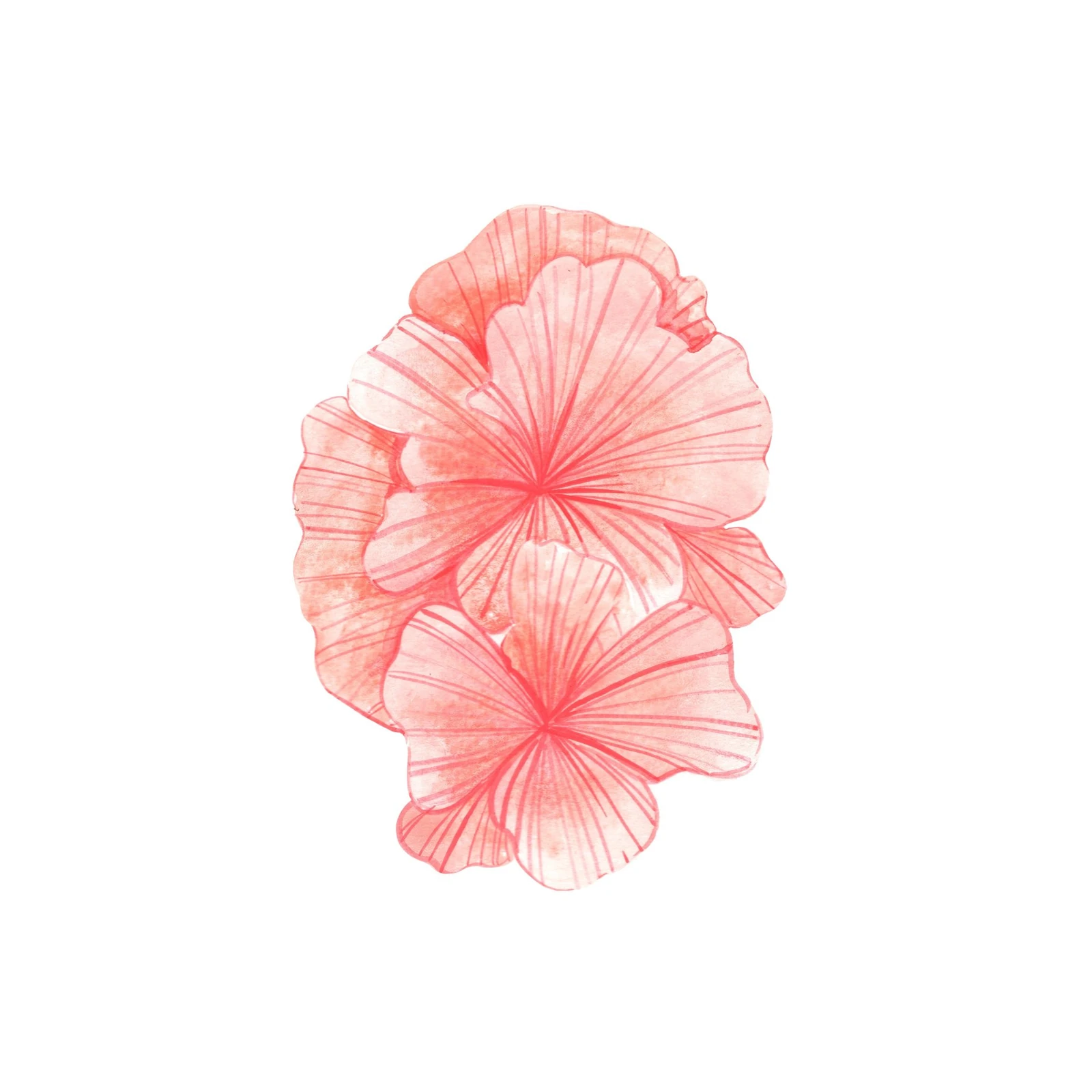 Coral Bloom Watercolor Floral Wall Art