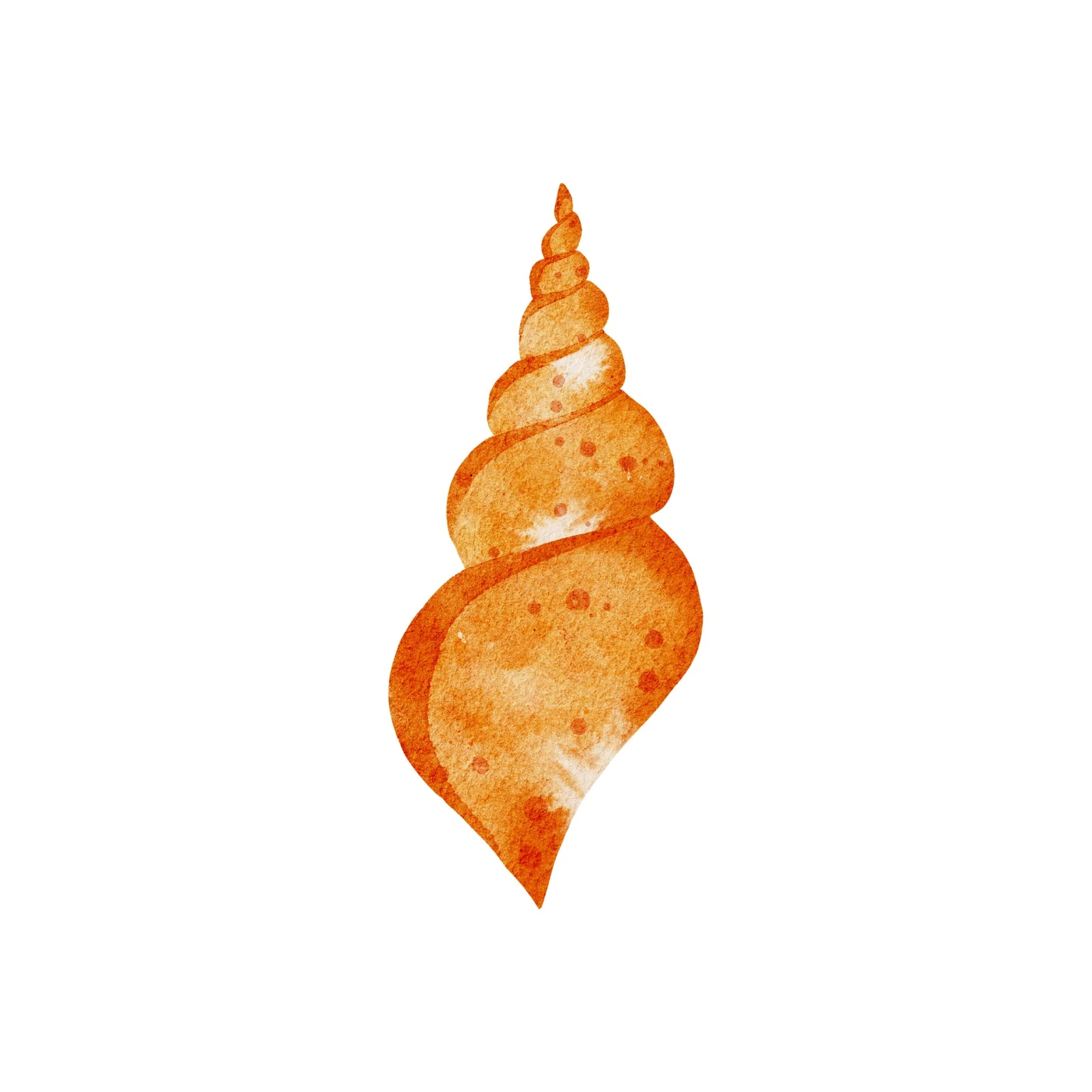 Watercolor Seashell Art Wall Art