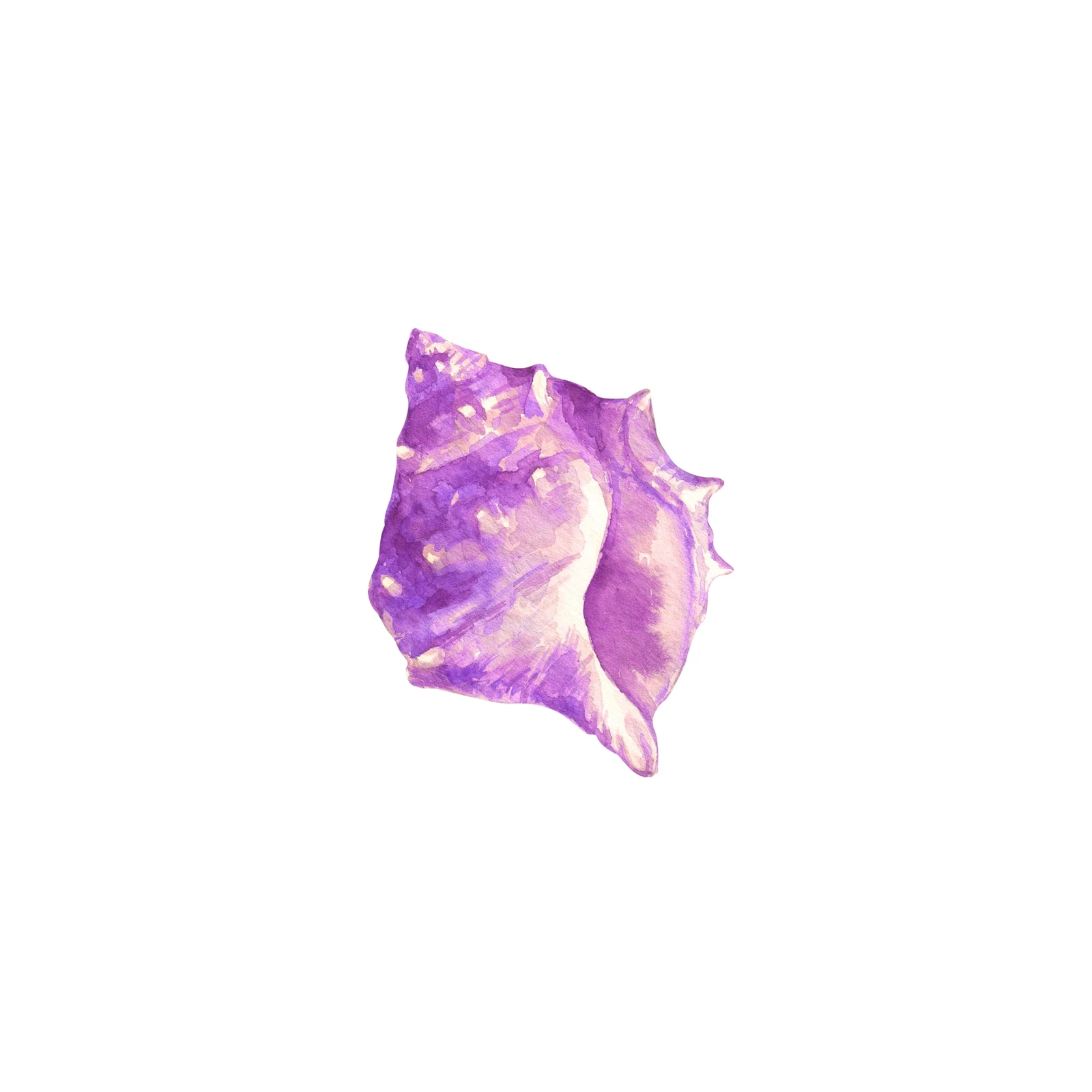 Vibrant Purple Seashell Watercolor Wall Art