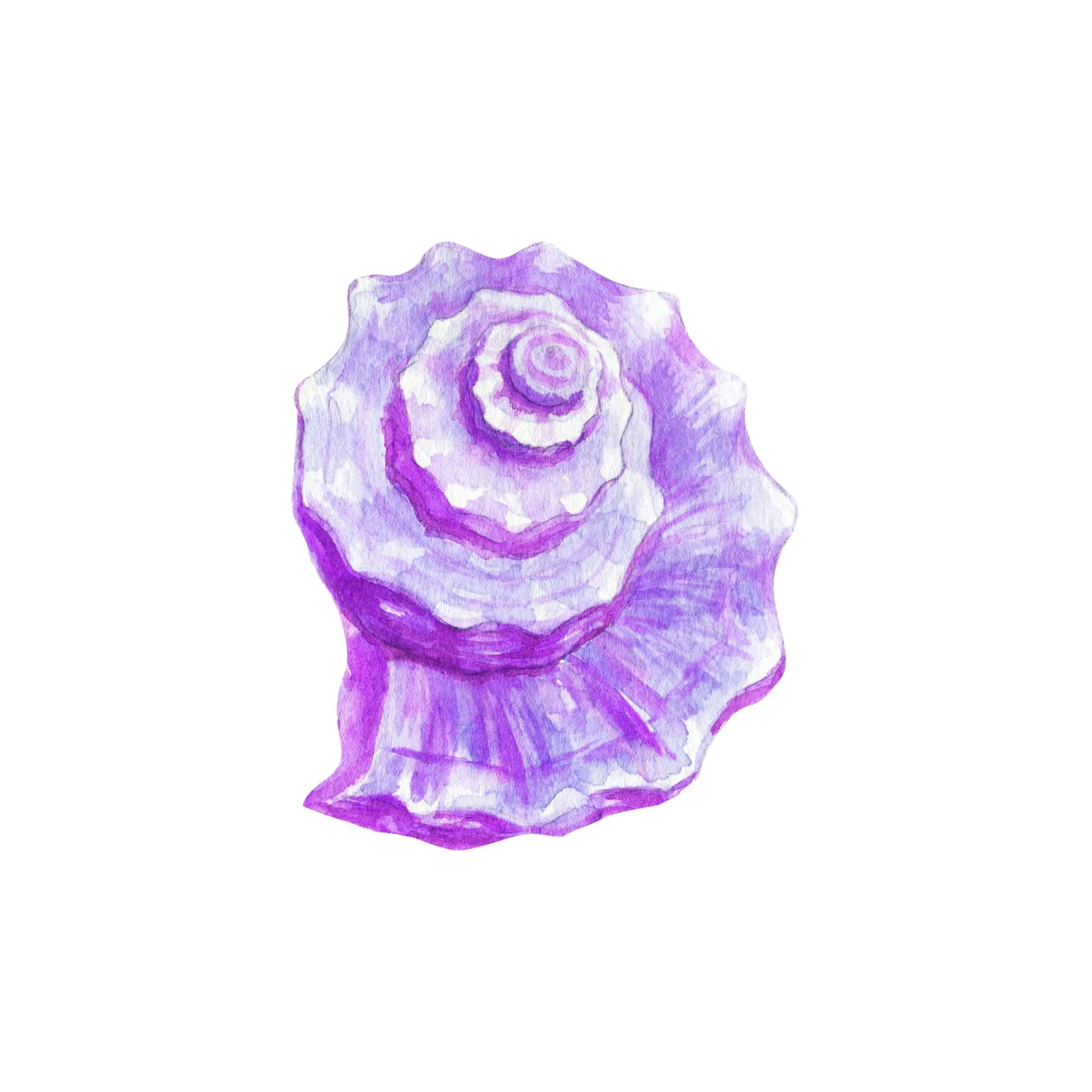 Serene Purple Seashell Watercolor Wall Art