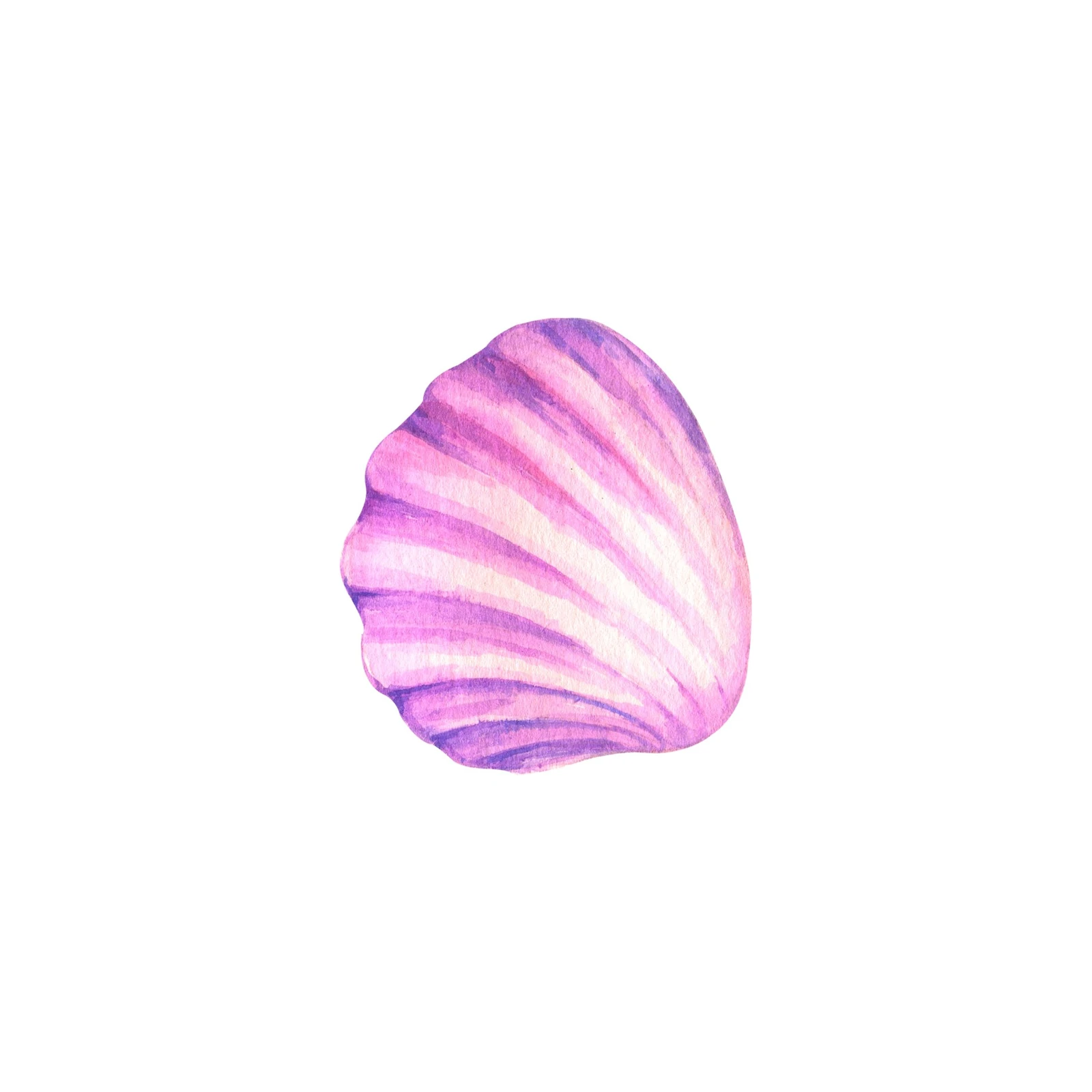 Watercolor Seashell Pink Purple Wall Art