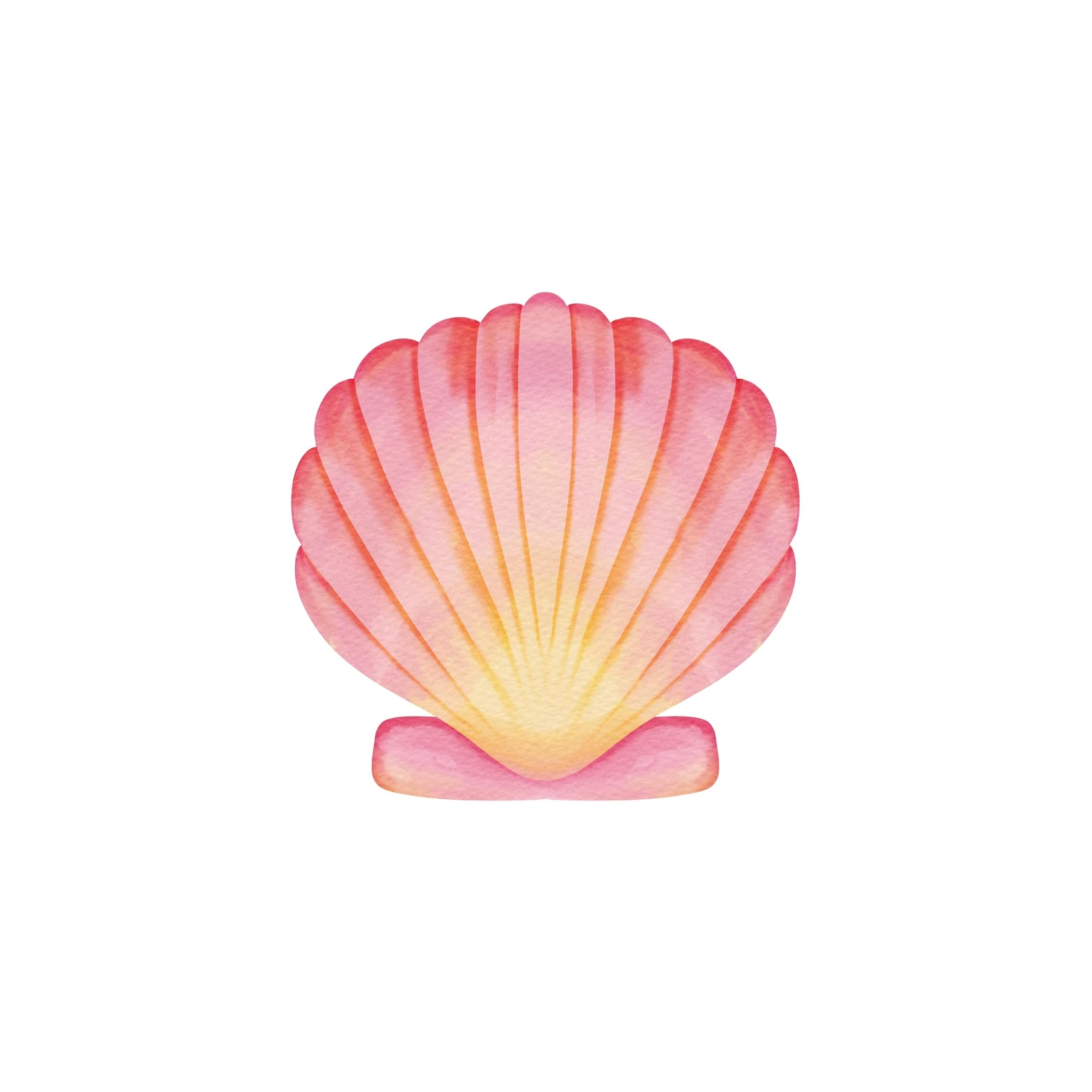 Watercolor Pink Scallop Shell Wall Art