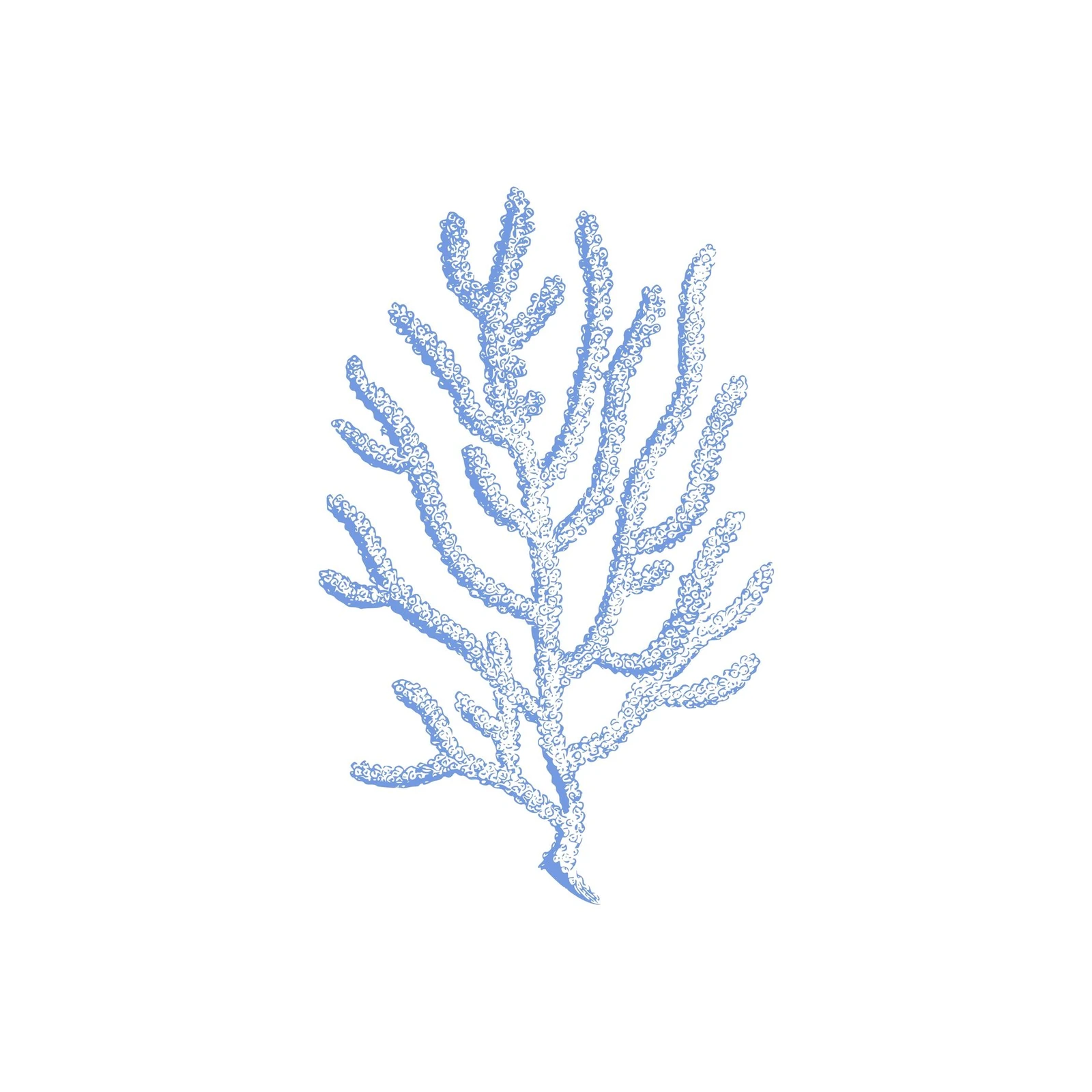 Serene Blue Coral Branch Wall Art