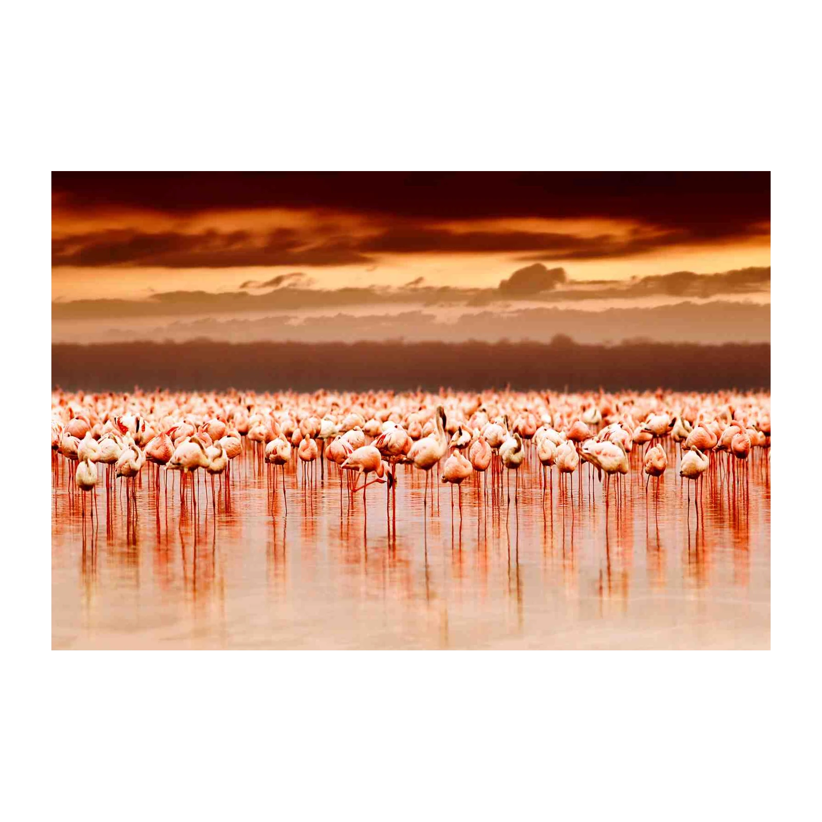 Flamingo Flock Serenity Wall Art