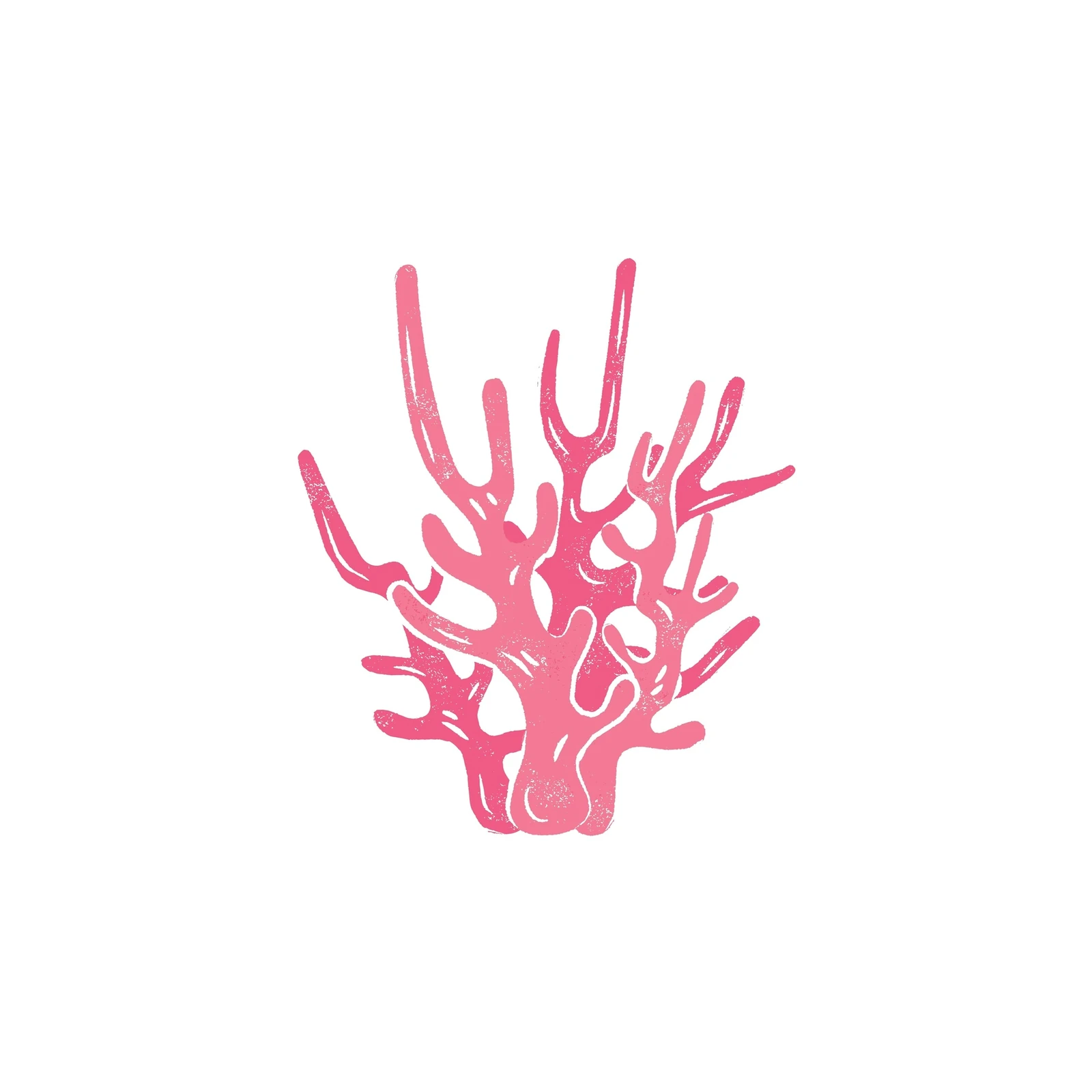 Vibrant Pink Coral Branch Wall Art
