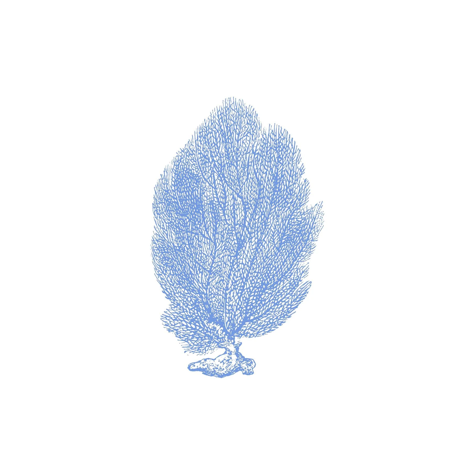 Ocean Blue Sea Fan Wall Art Wall Art