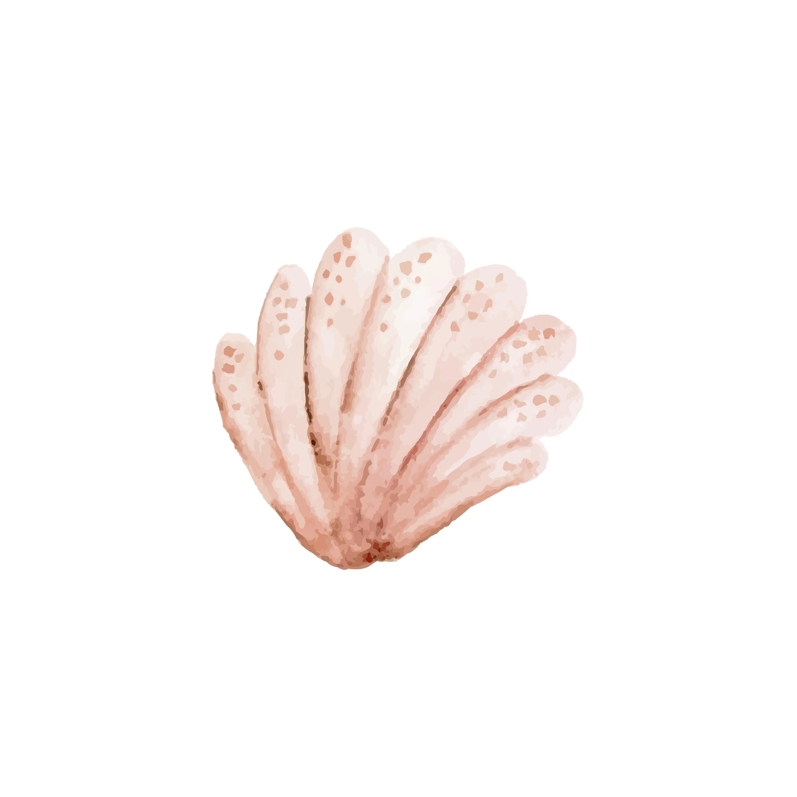 Coastal Blush Seashell Art Wall Art