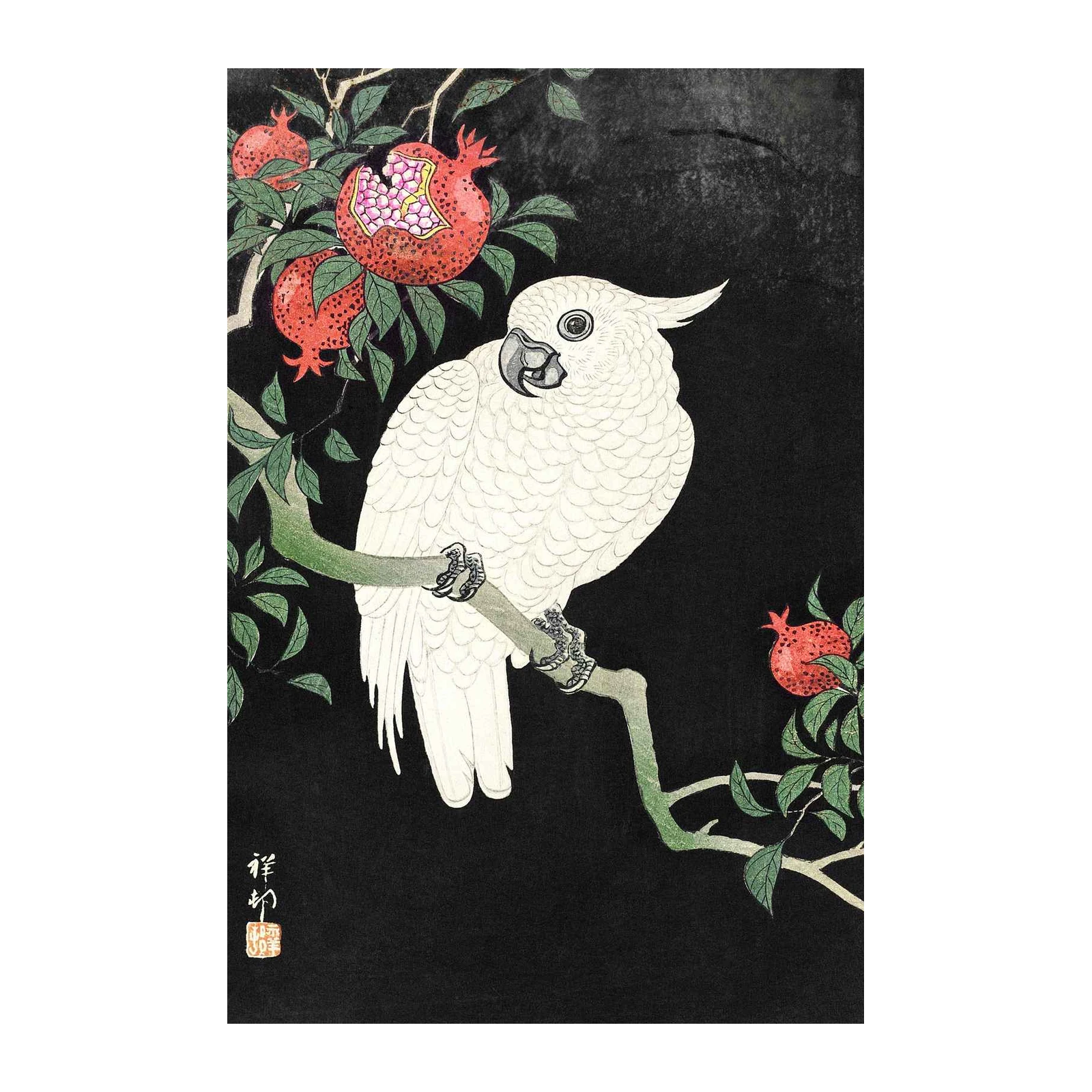 Elegant White Cockatoo & Pomegranate Wall Art