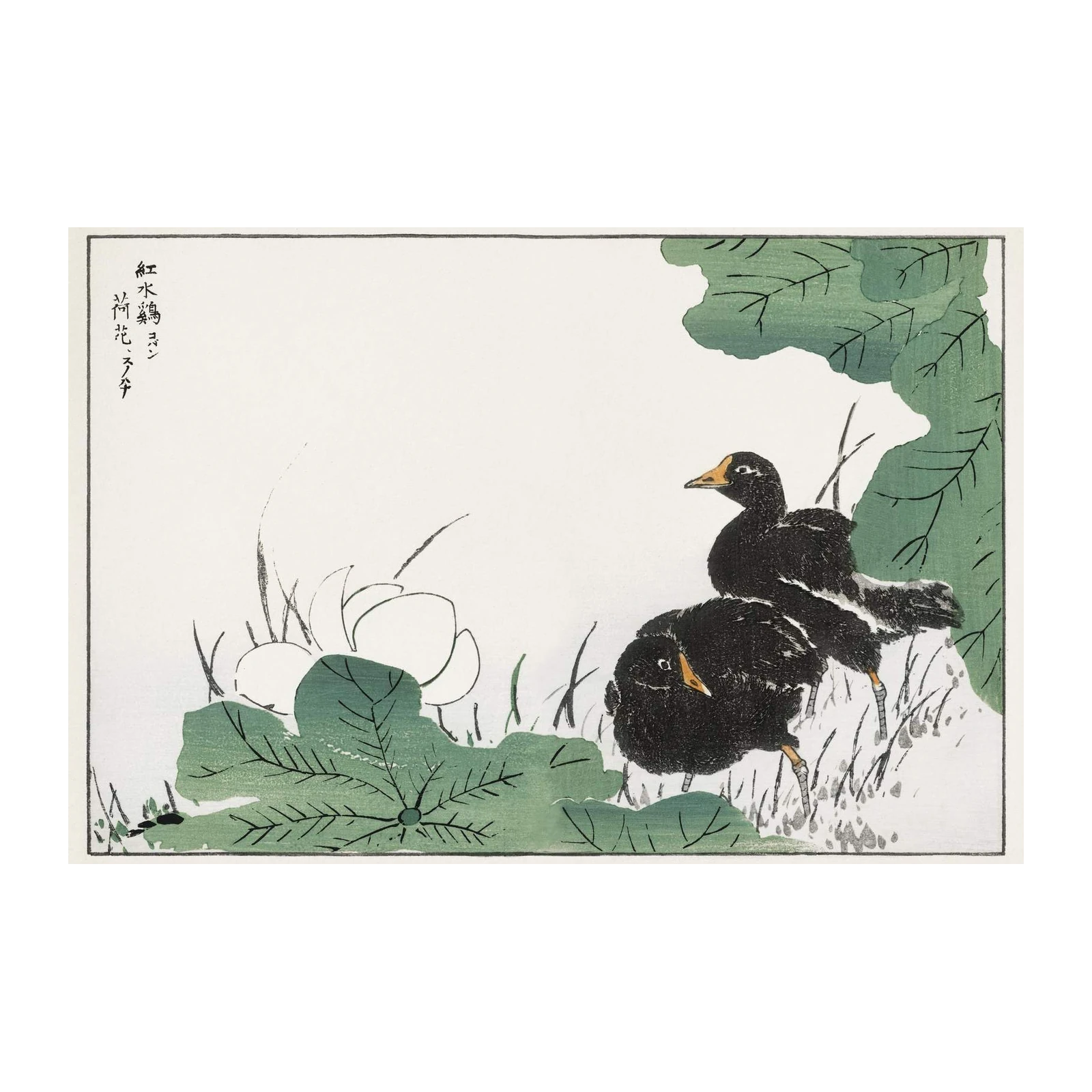 Two Chicks By Lotus Pond Wall Art