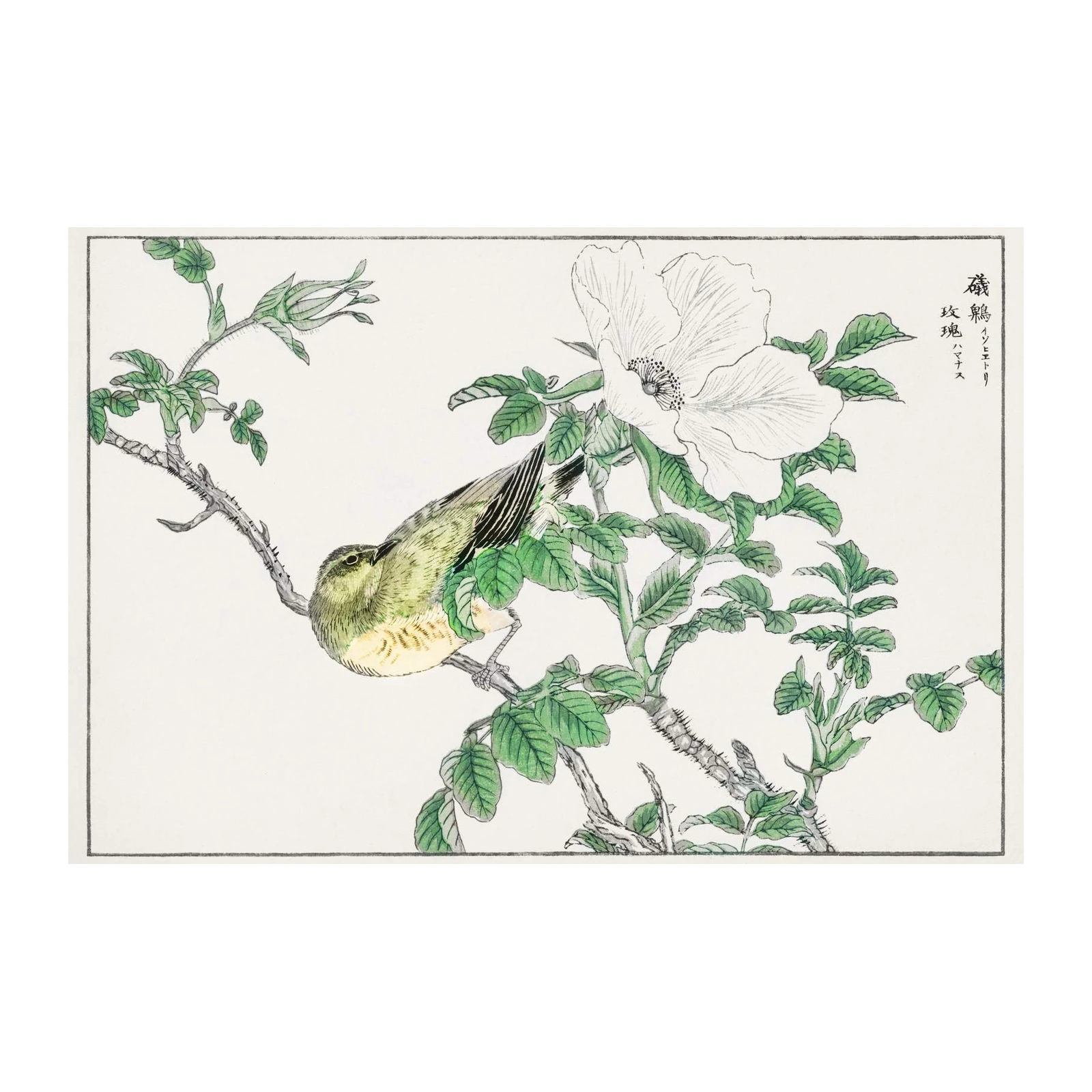 Serene Bird & Rose Japanese Art Wall Art