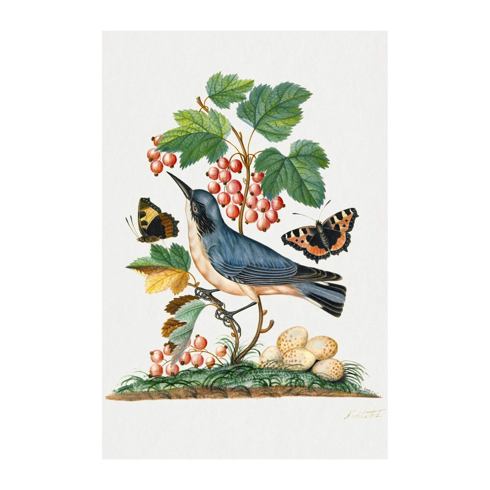 Vintage Bird & Butterfly Botanical Wall Art Wall Art