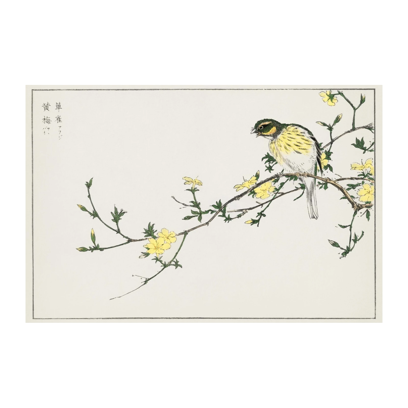 Elegant Yellow Finch & Jasmine Wall Art