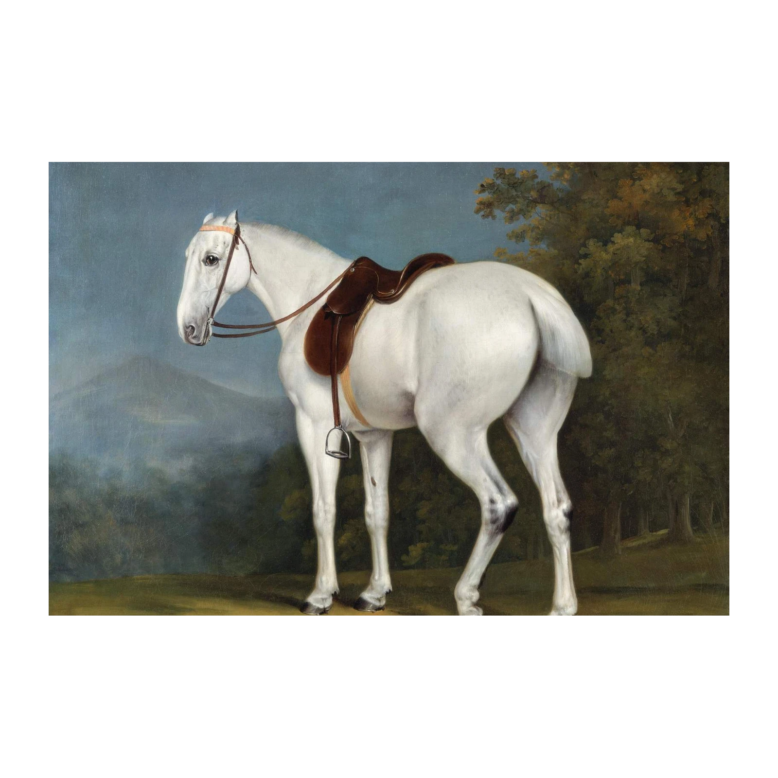Elegant White Stallion Horse Portrait Wall Art