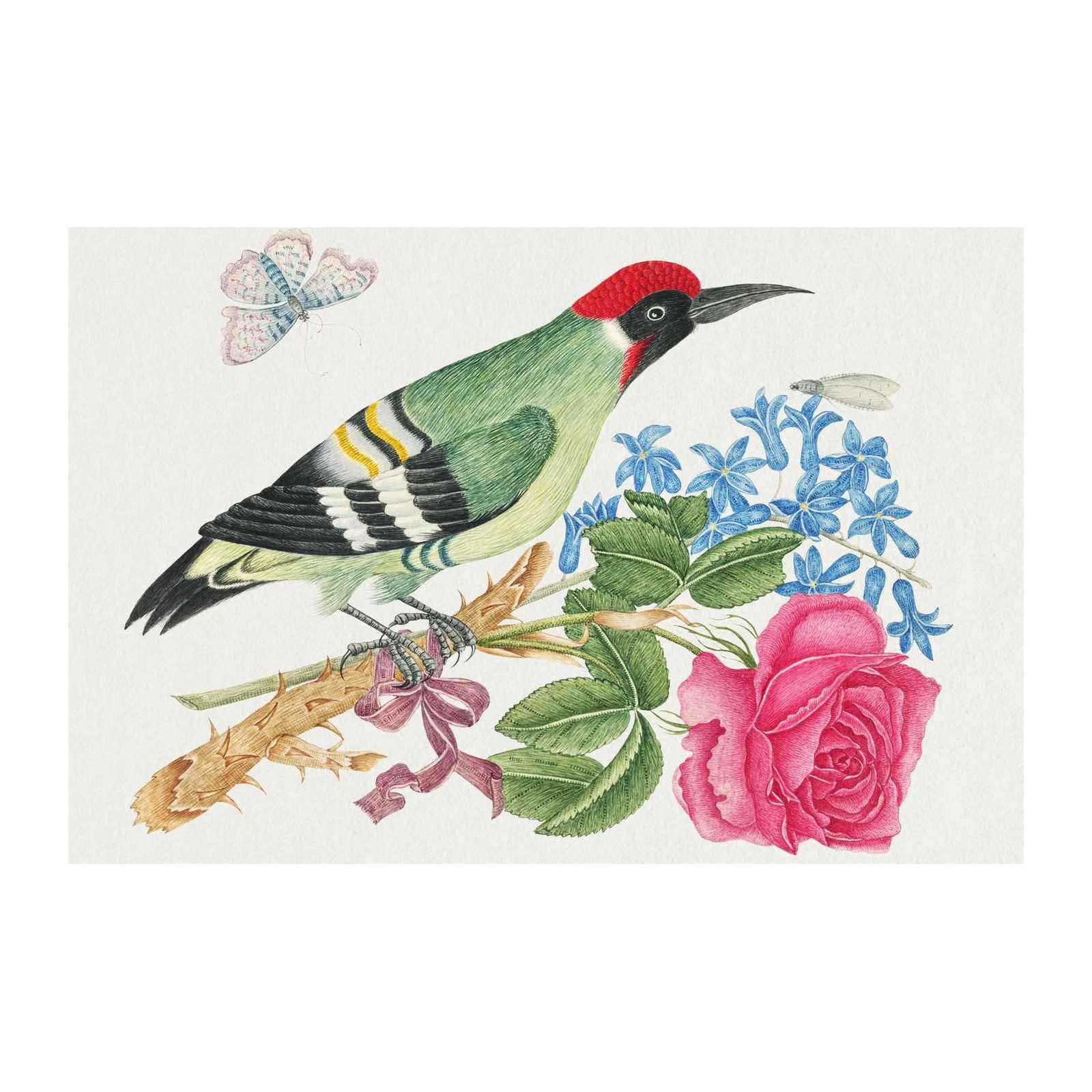 Vintage Green Woodpecker & Rose Wall Art