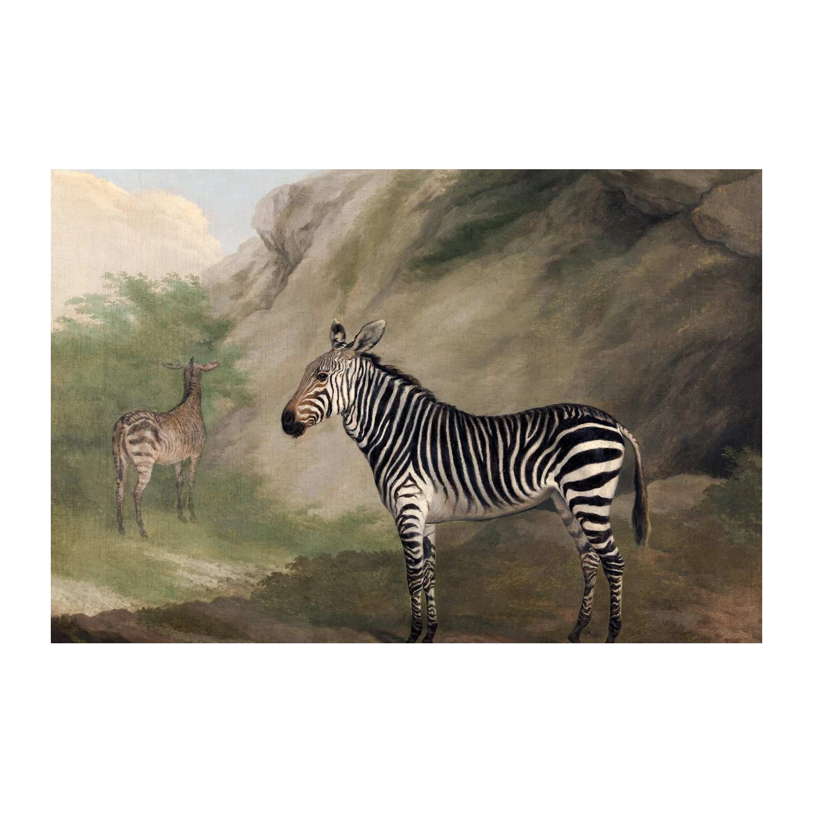 Majestic Zebras in Natural Habitat Wall Art